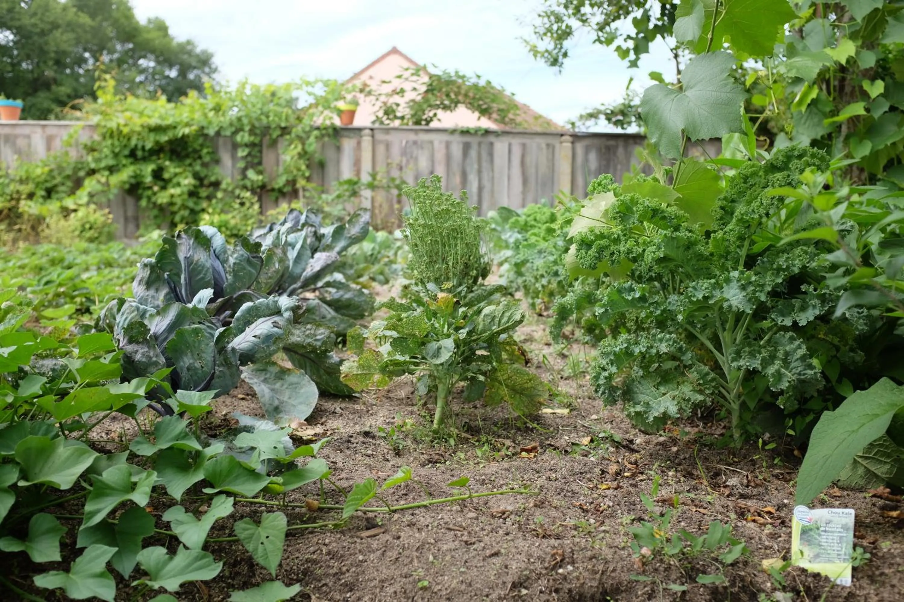 Garden in Le clos du Ru