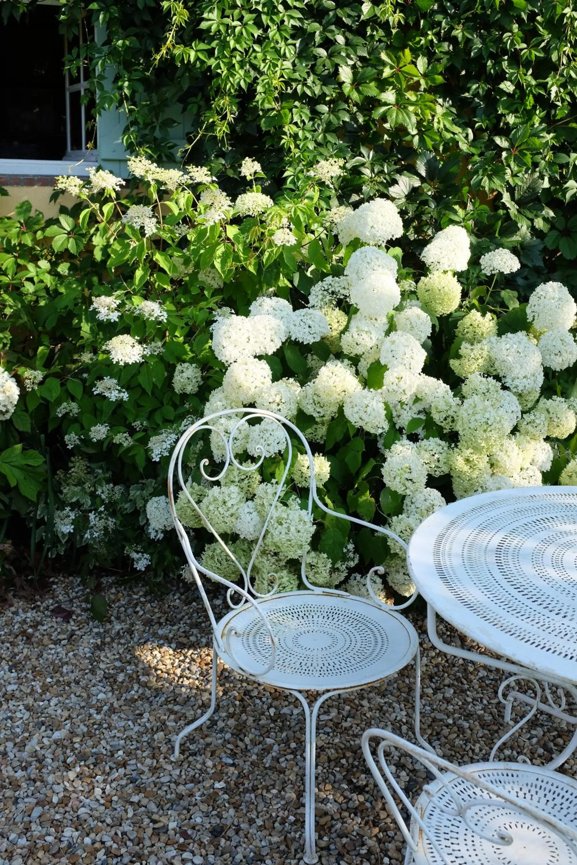 Garden in Le clos du Ru