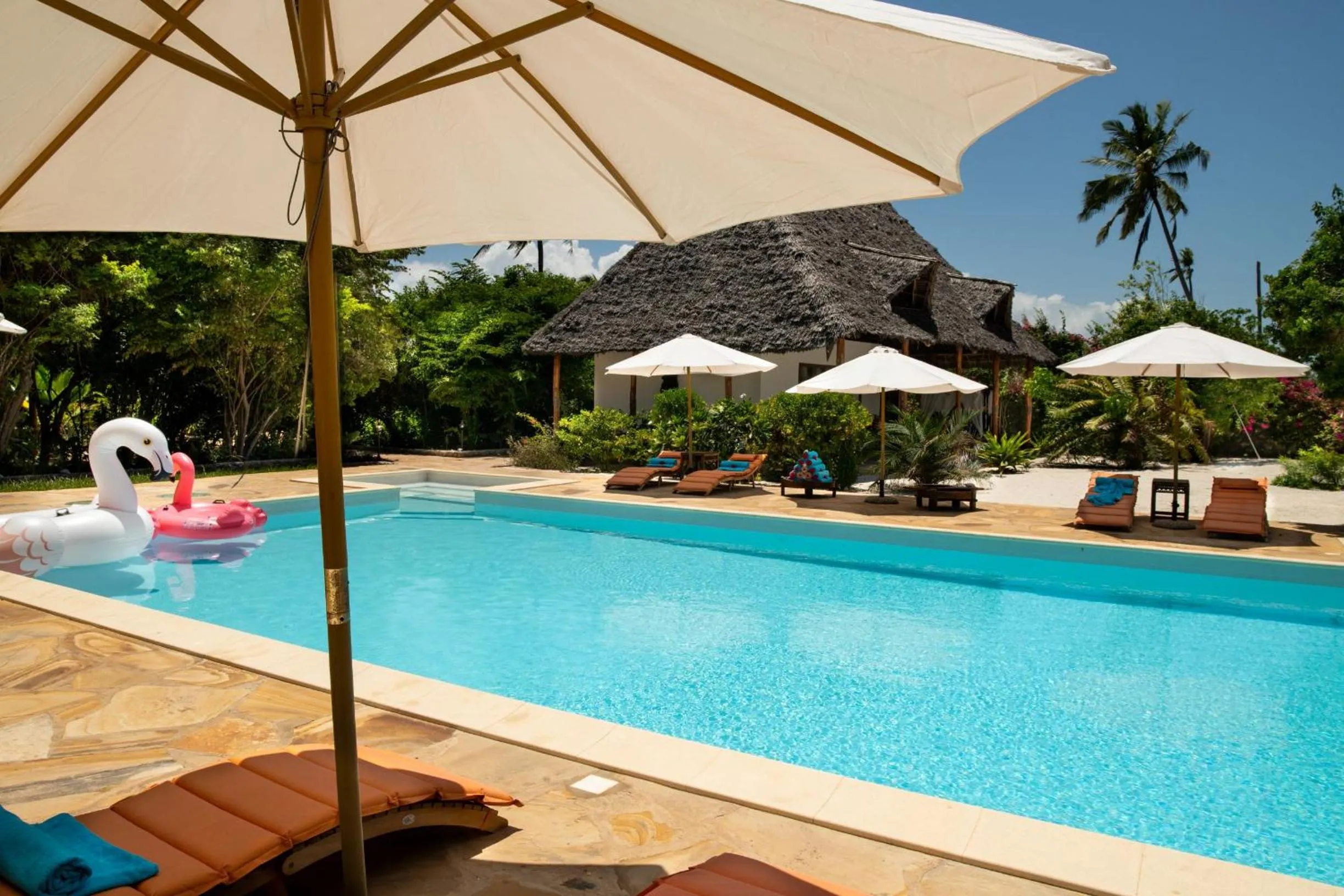 Swimming pool in Tikitam Palms Boutique Hotel