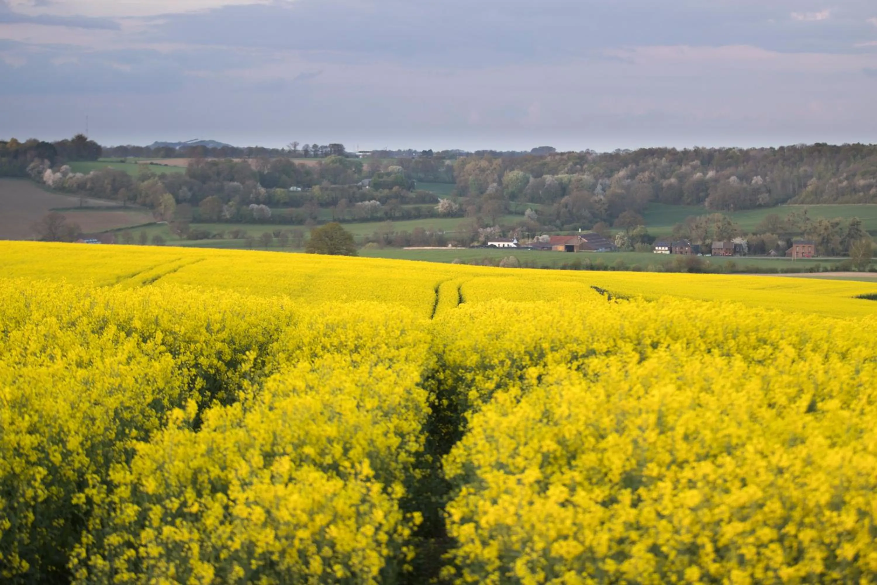 Spring in MERICI Hotel Sittard