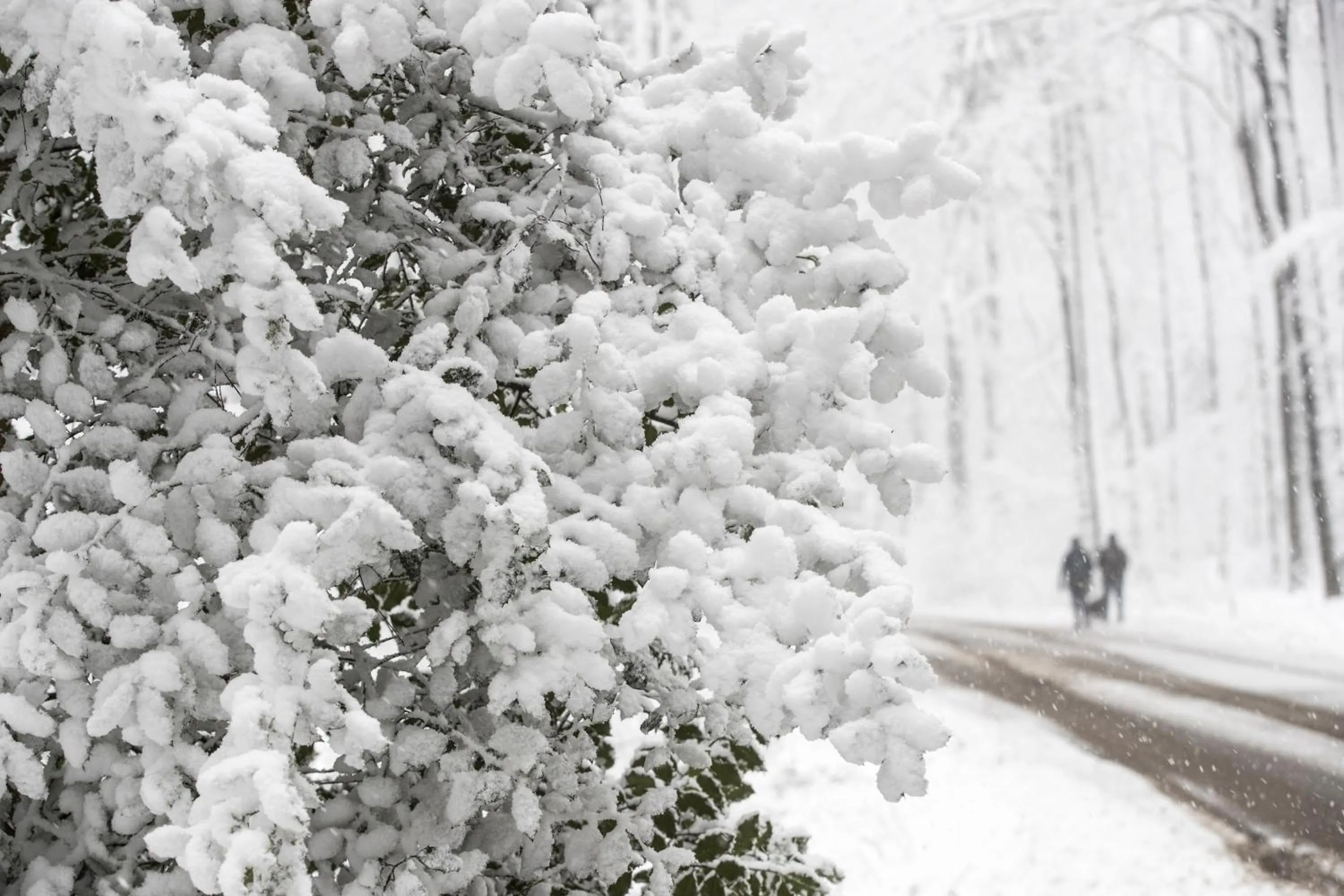 Hiking in MERICI Hotel Sittard