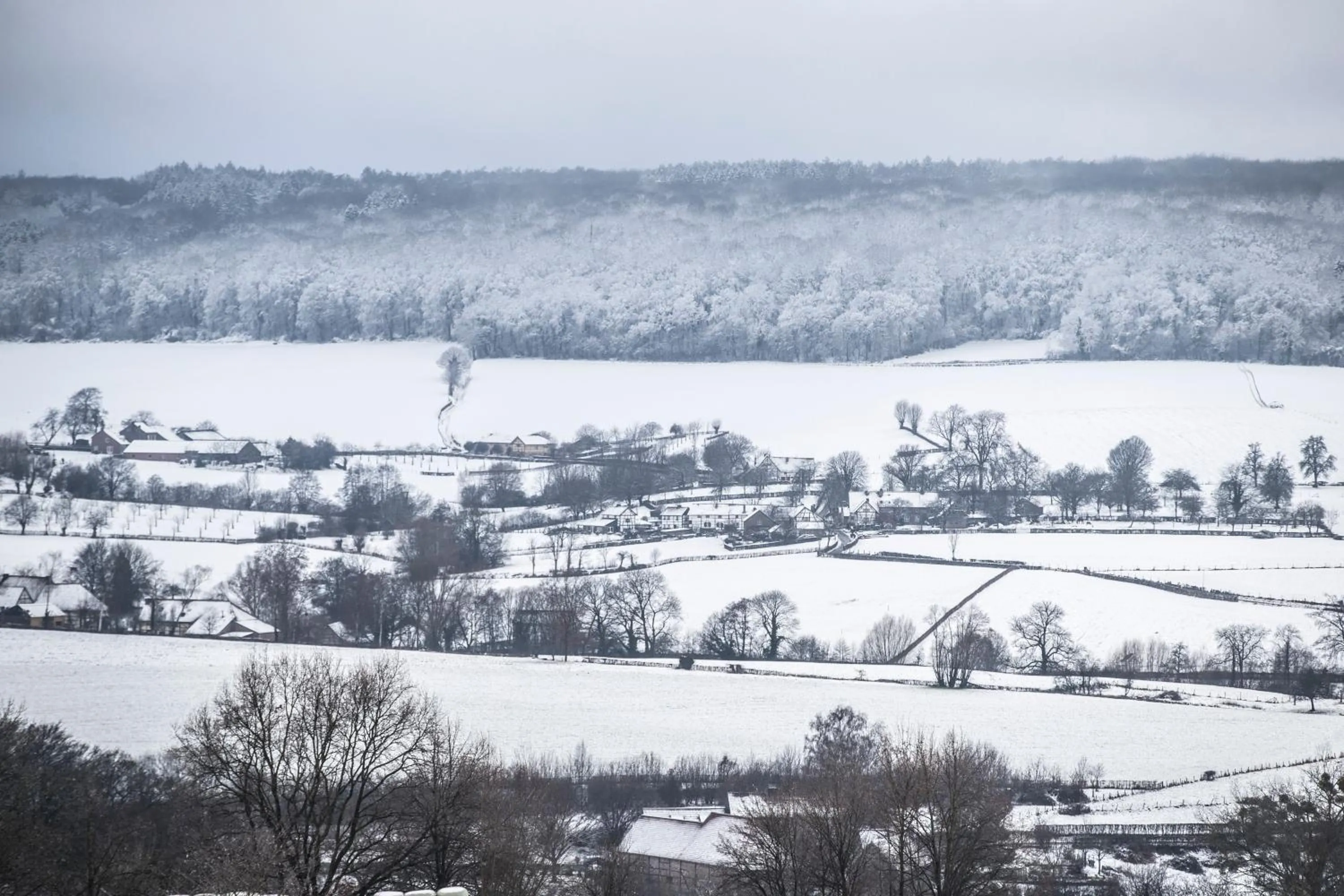 Natural landscape in MERICI Hotel Sittard