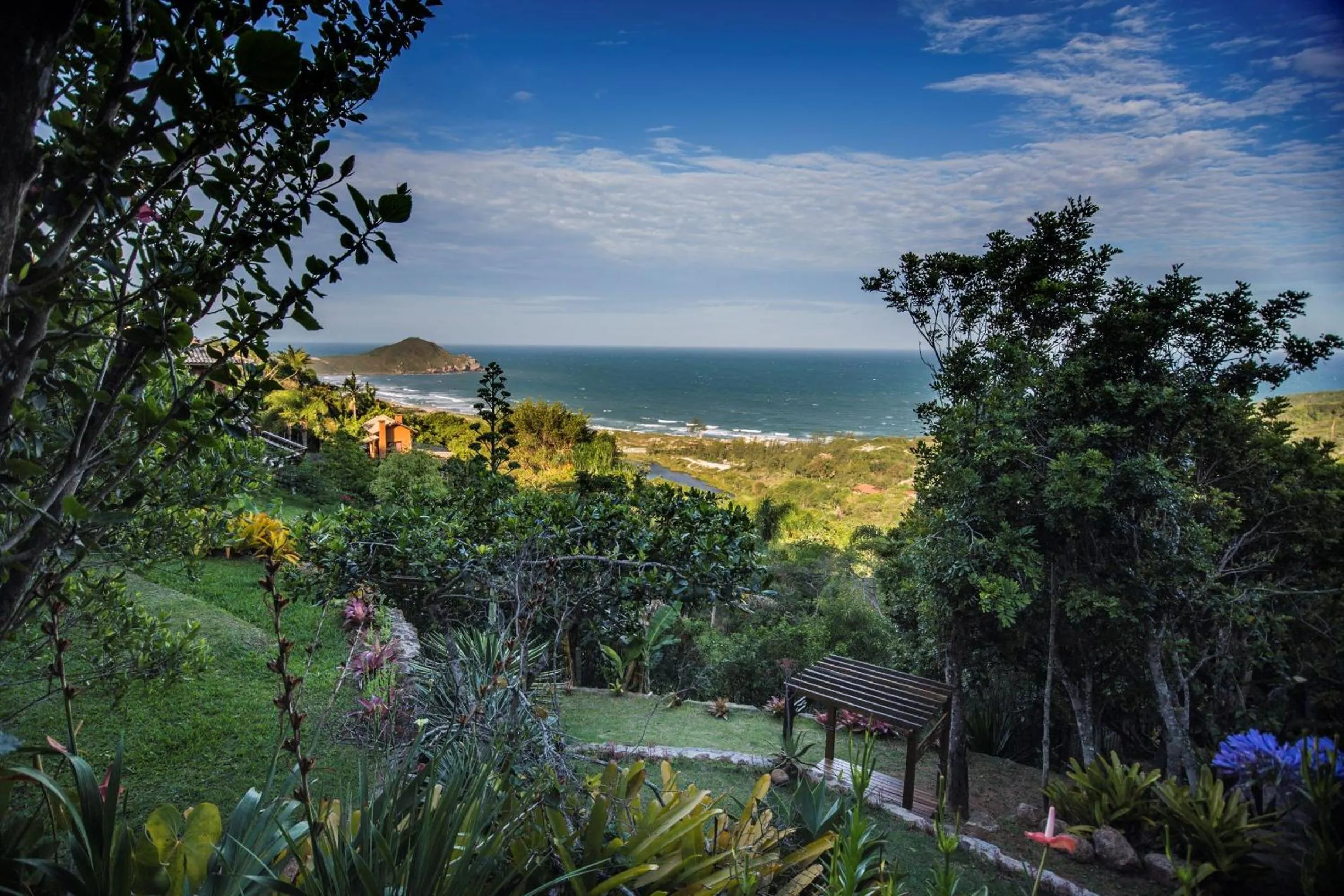 Spring in Villa Buena Vista