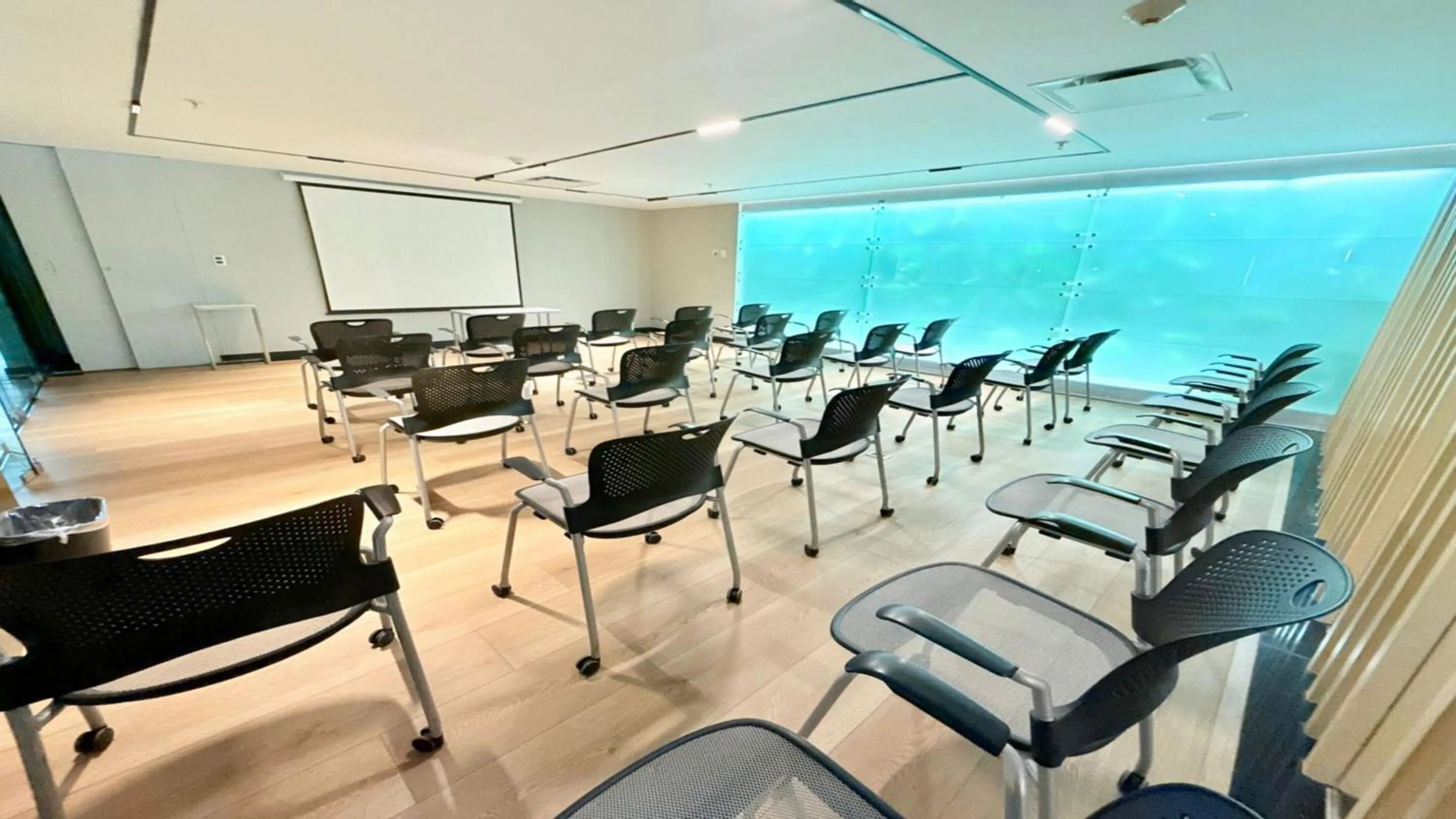 Meeting/conference room in Holiday Inn Express Toluca Galerias Metepec by IHG