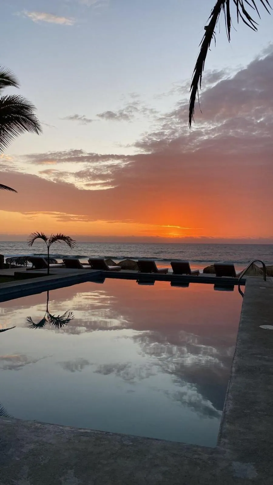 Los Cocos de Vichayito