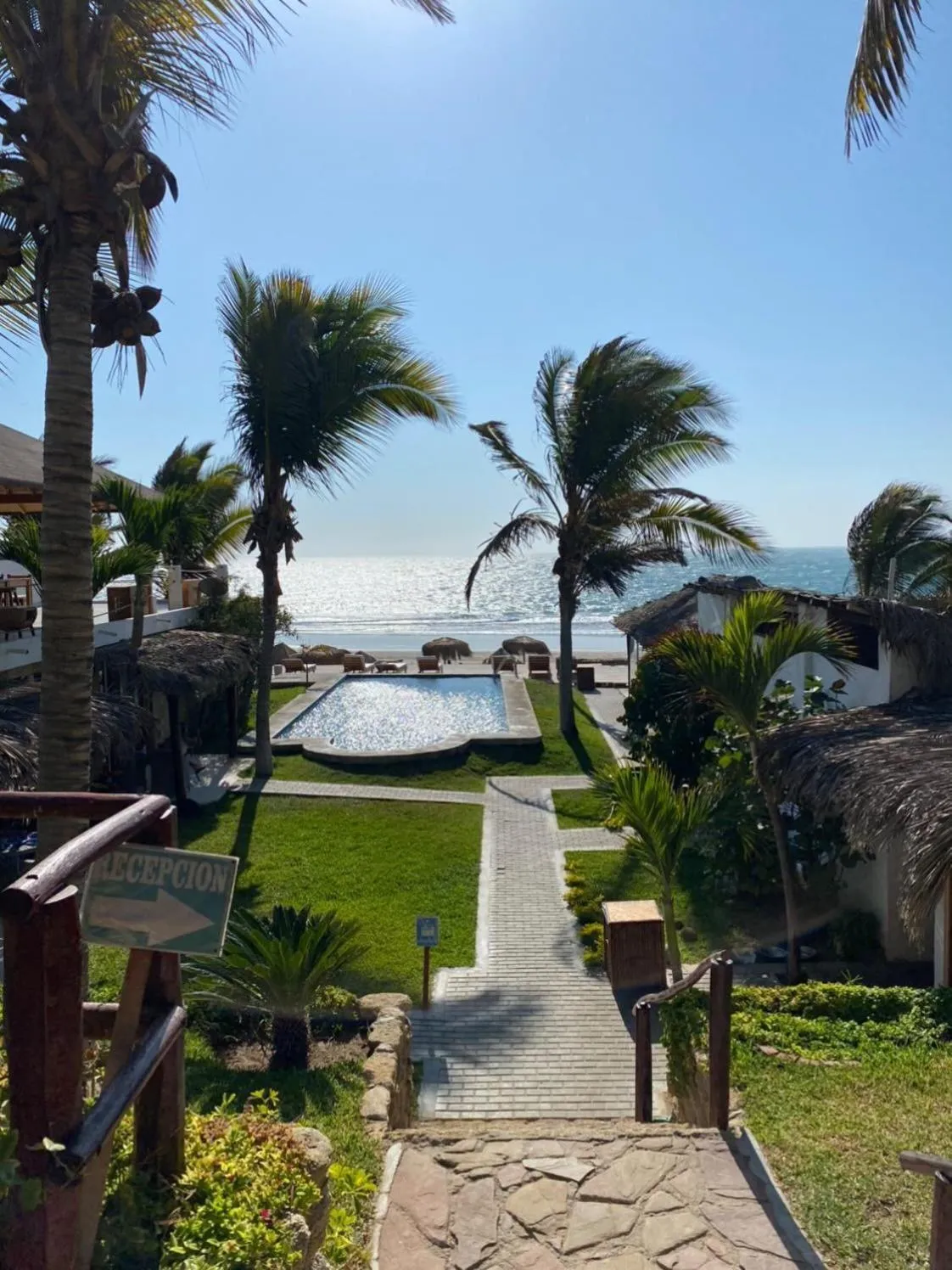 Los Cocos de Vichayito