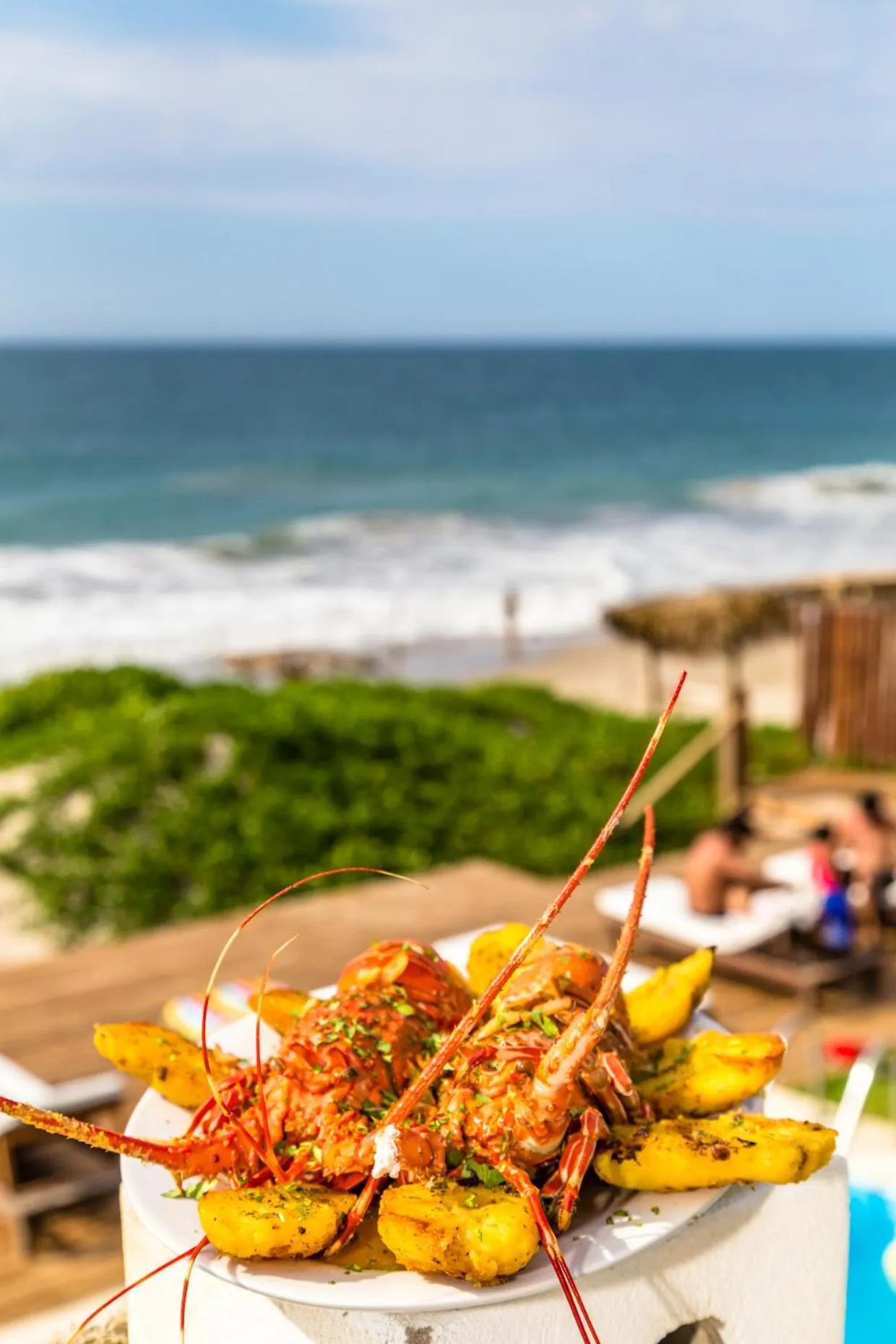 Food close-up in Los Cocos de Vichayito