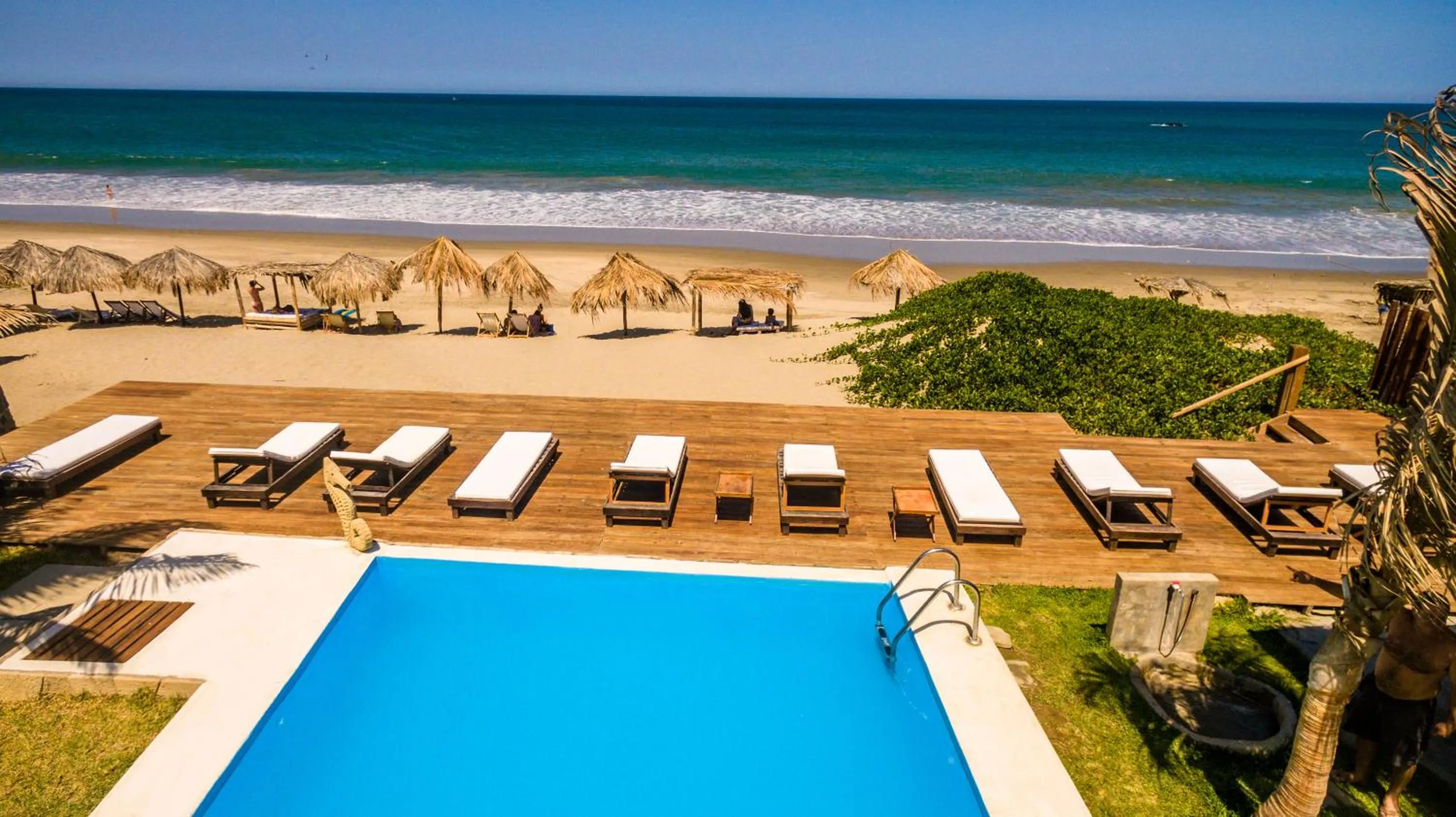 Garden in Los Cocos de Vichayito