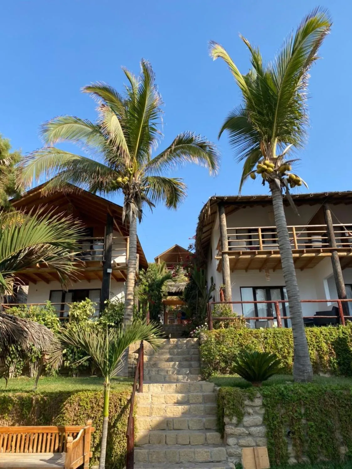 Los Cocos de Vichayito