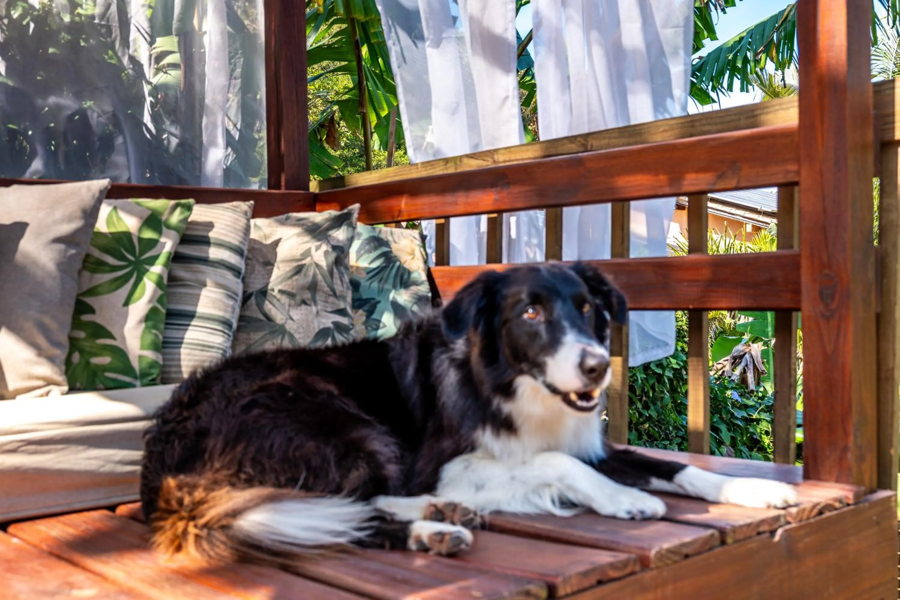 Morada da Praia do Rosa Pousada