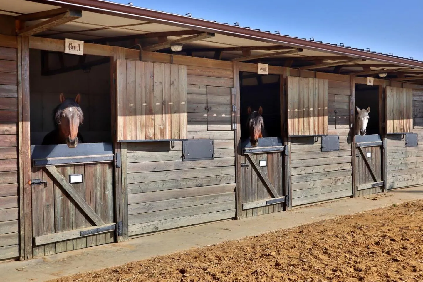 Property building in Casa Rural Ecuestre