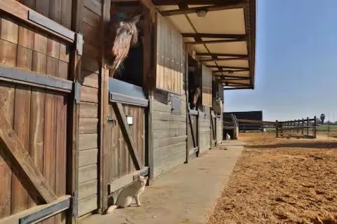 Property building in Casa Rural Ecuestre
