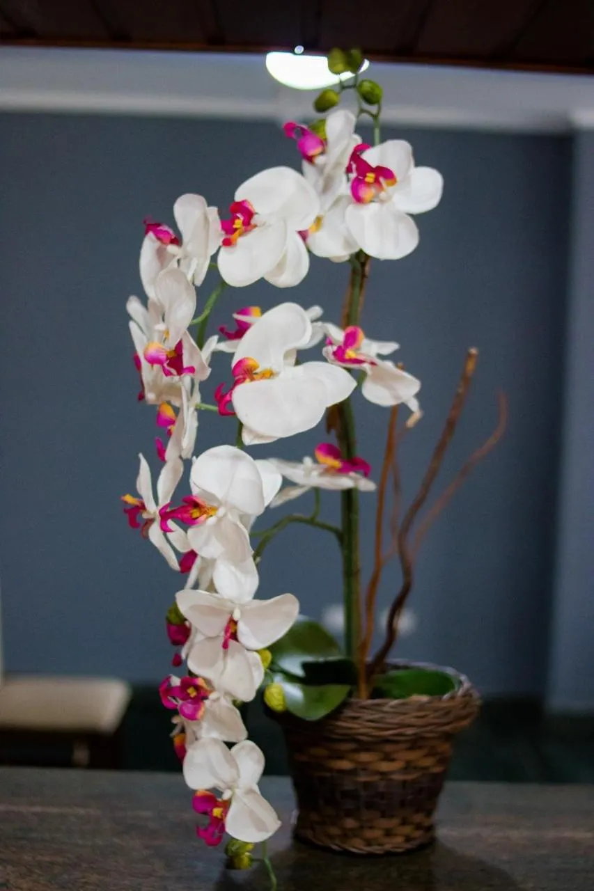 Central Park Hotel São Carlos - Fácil Acesso USP e Industrial