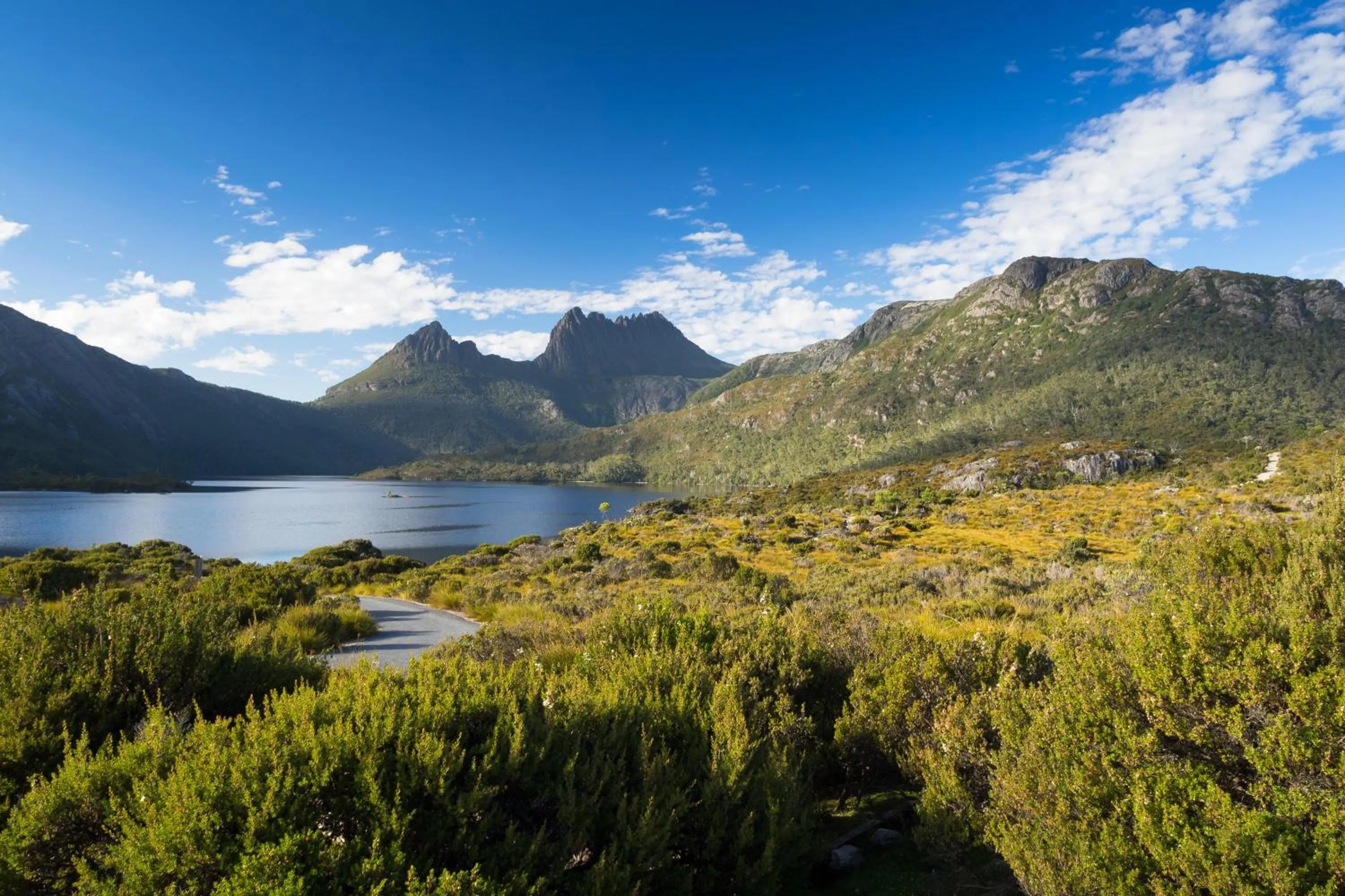 Natural landscape in Peppers Cradle Mountain Lodge
