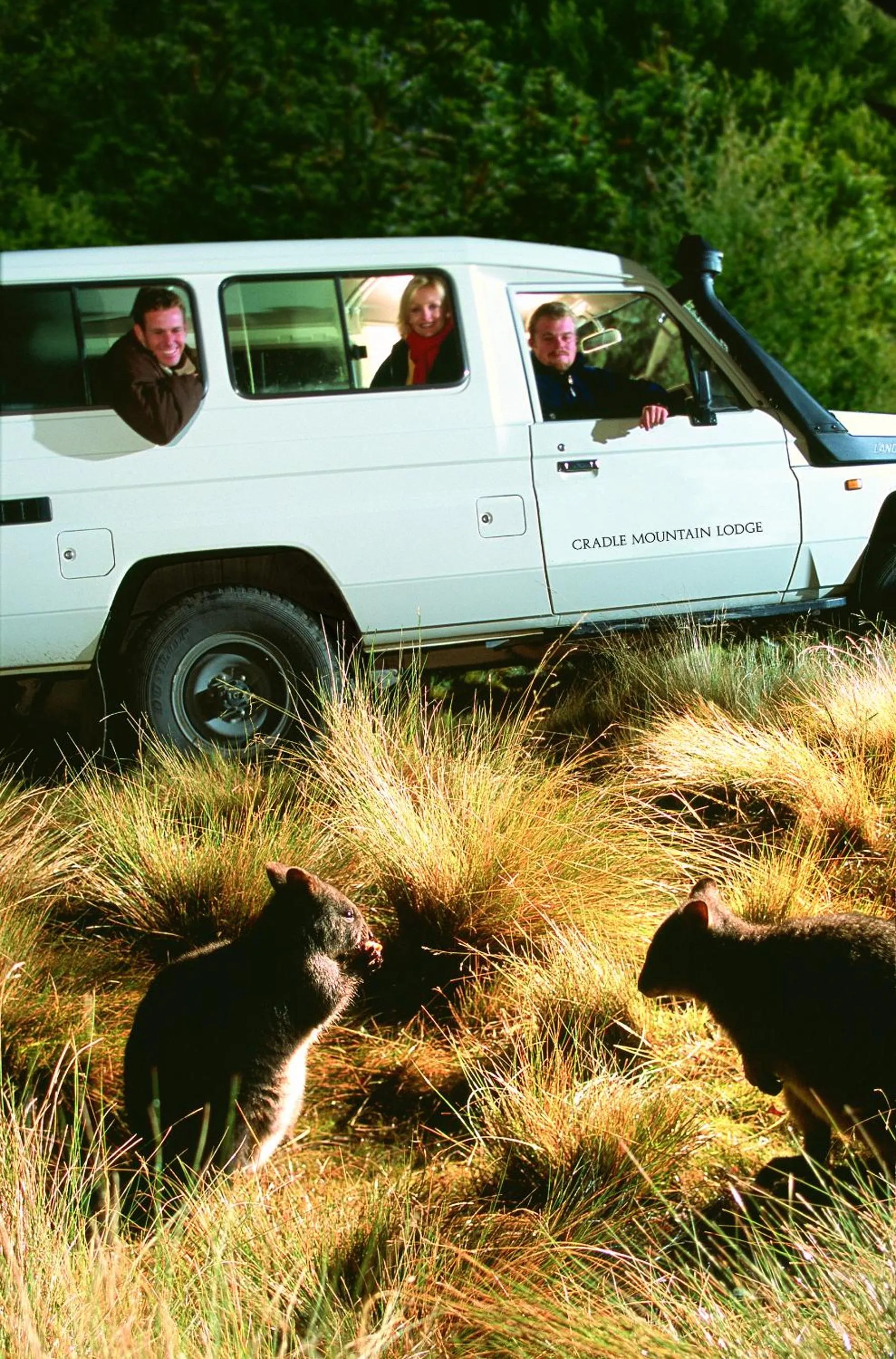 Activities in Peppers Cradle Mountain Lodge