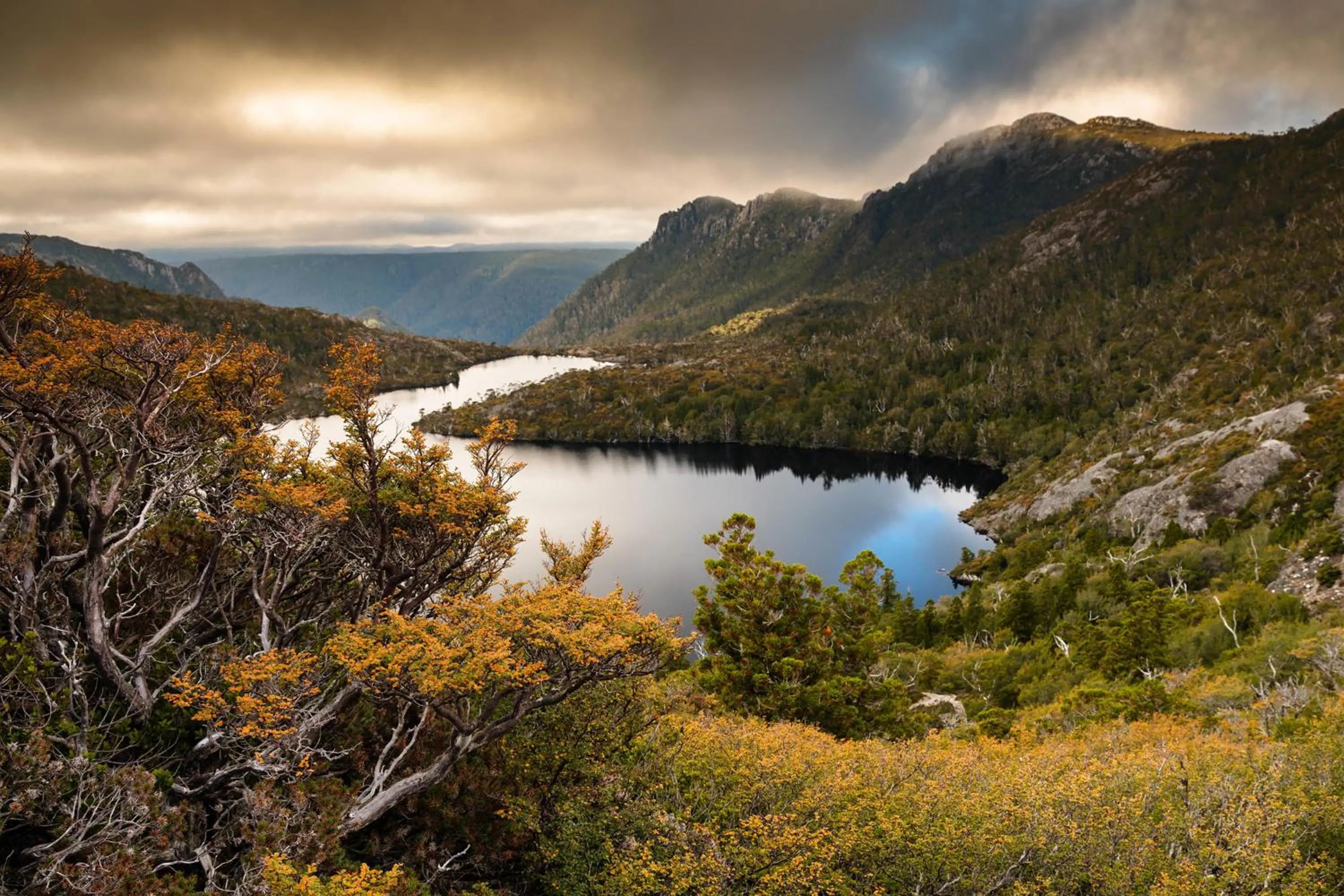 Natural landscape in Peppers Cradle Mountain Lodge