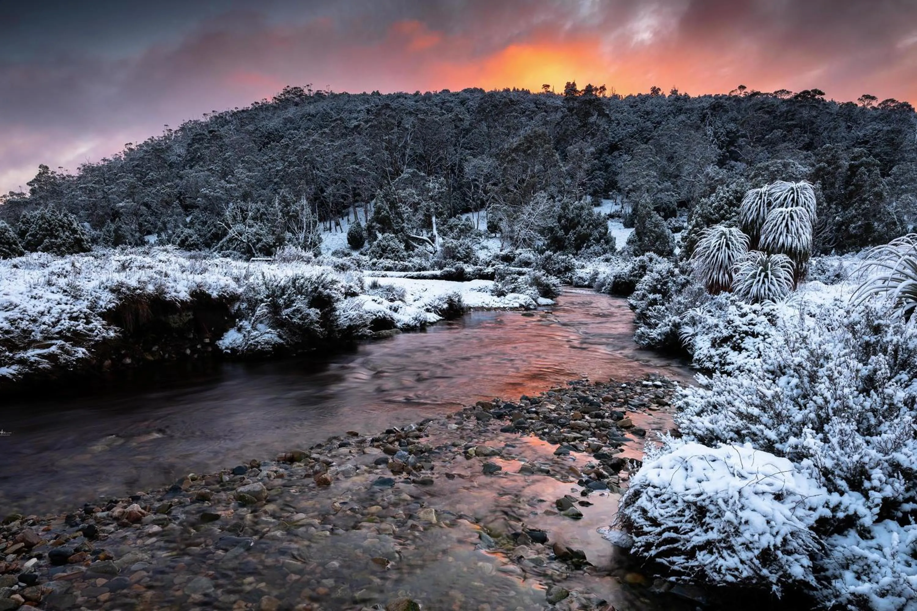 Natural landscape in Peppers Cradle Mountain Lodge
