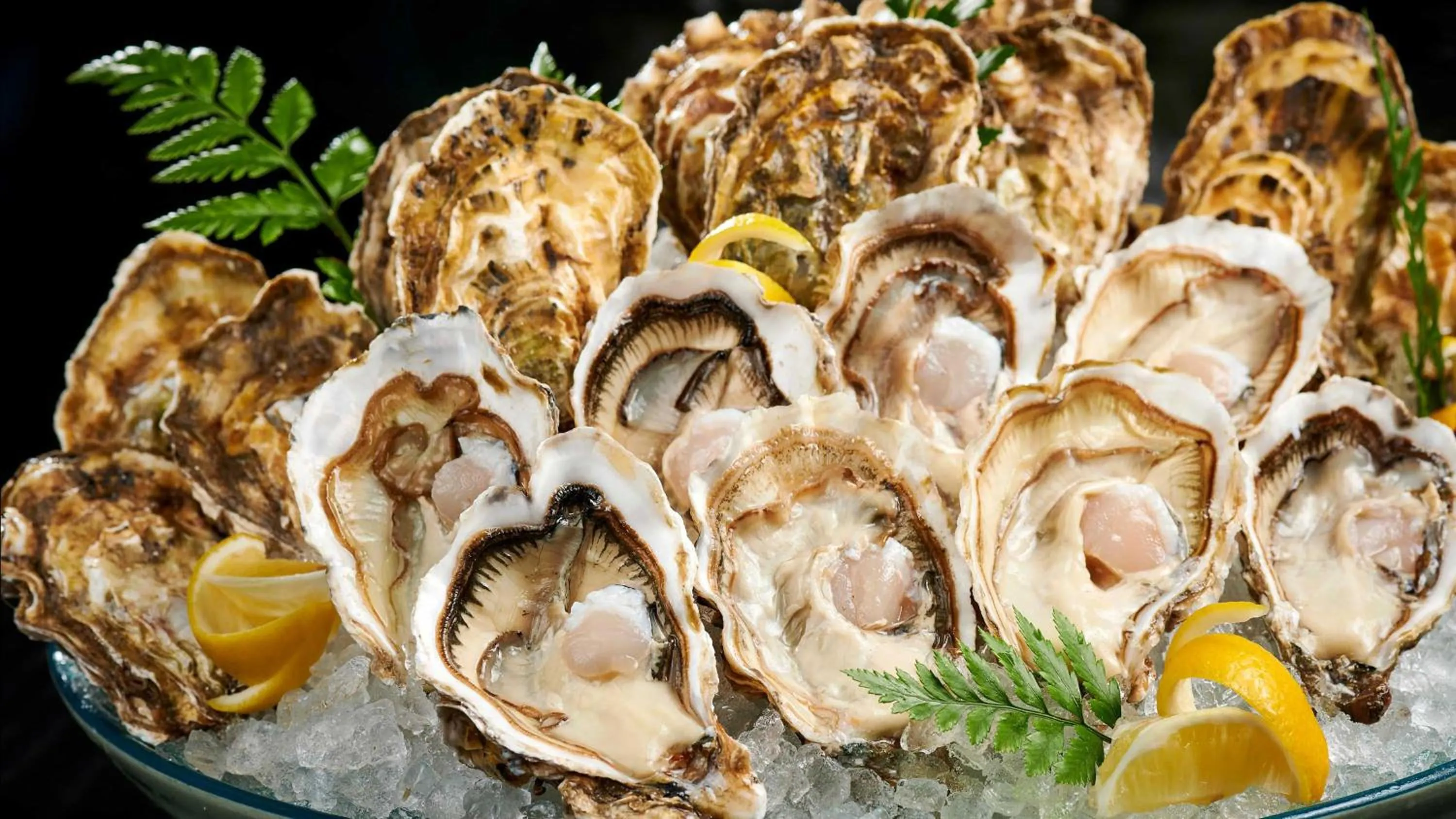 Restaurant/places to eat in Intercontinental Shenzhen Dameisha Resort by IHG