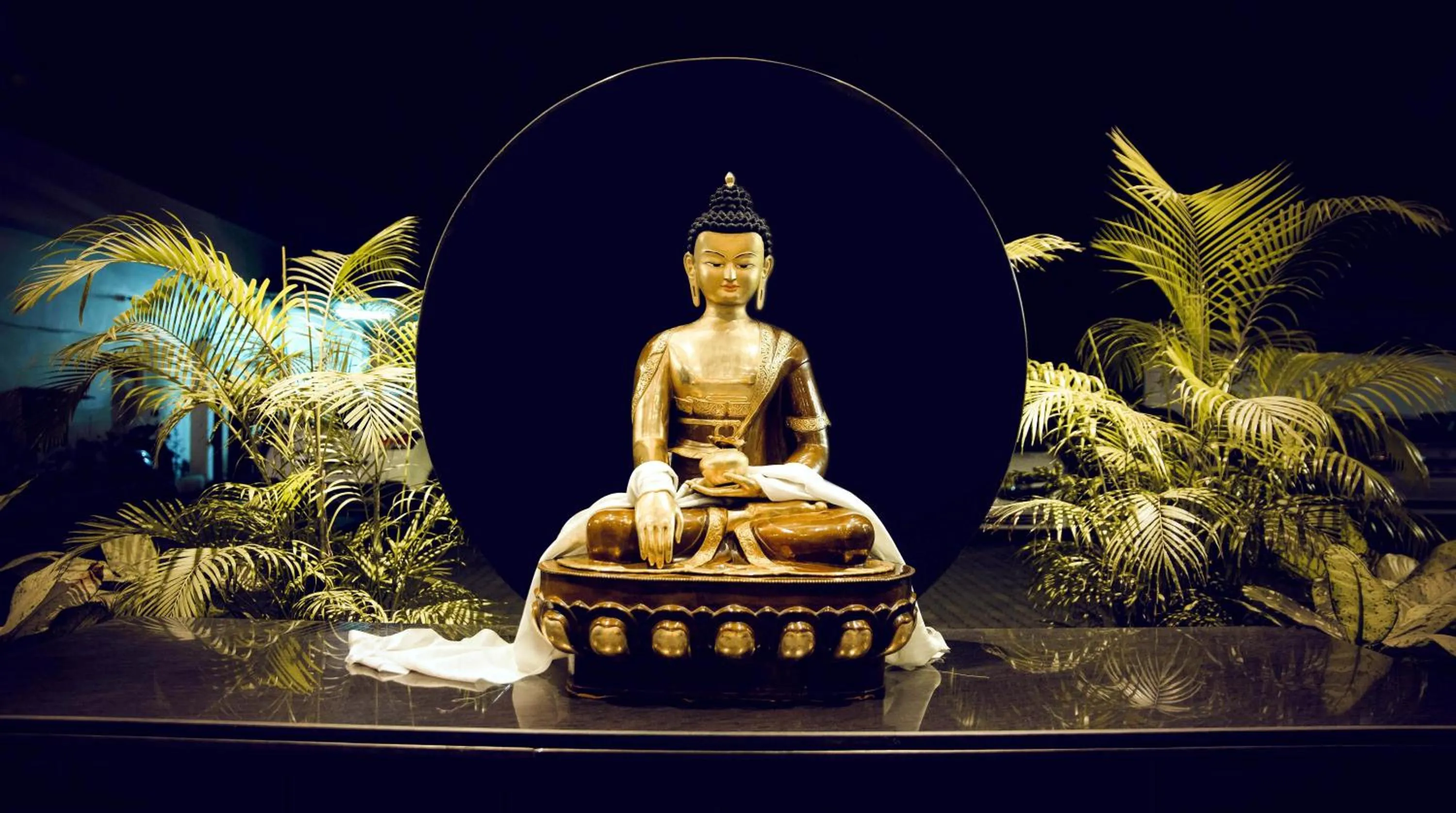 Garden view in The Cindrella Hotel