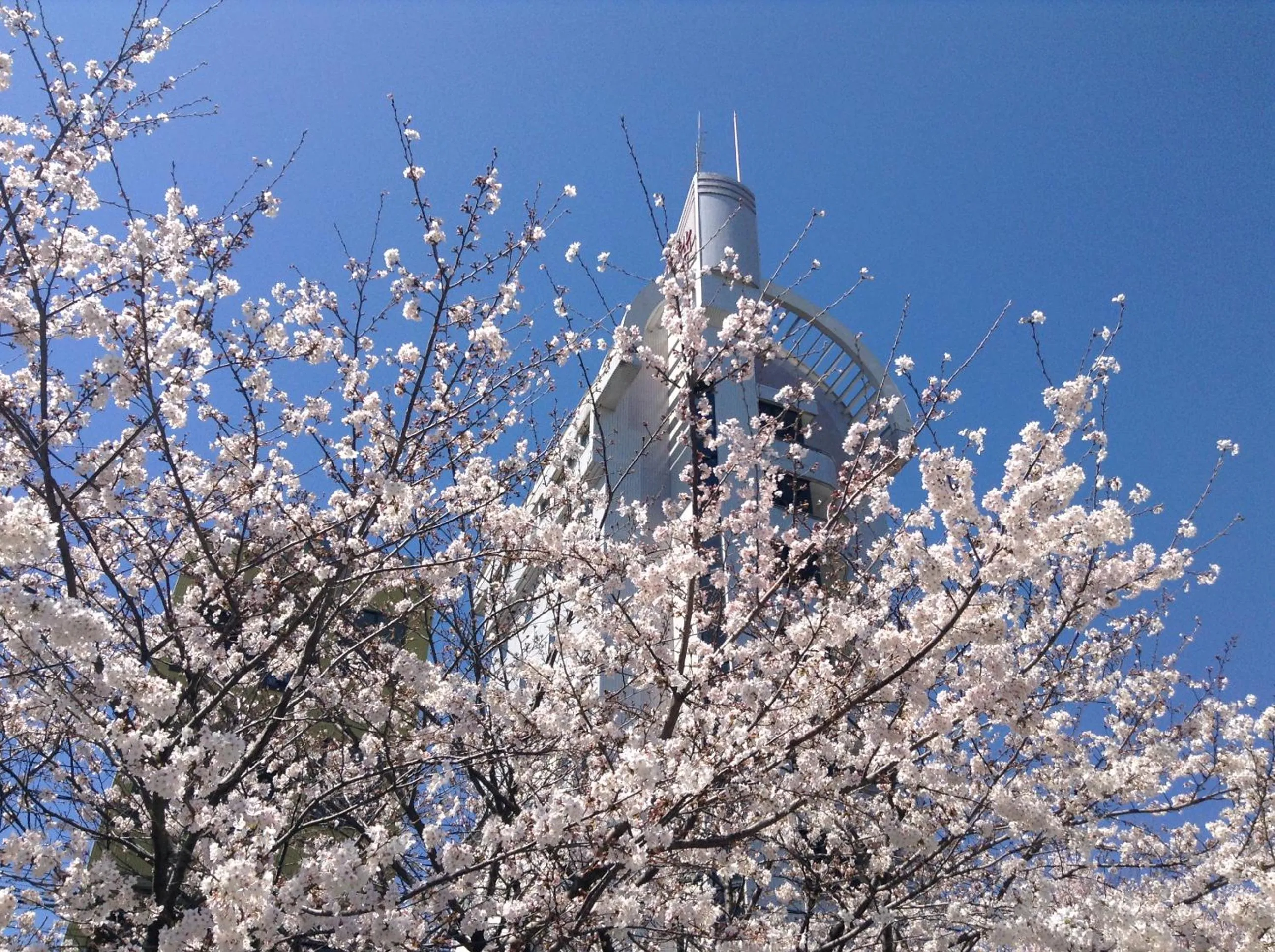 Spring in Hotel A'bant Shizuoka