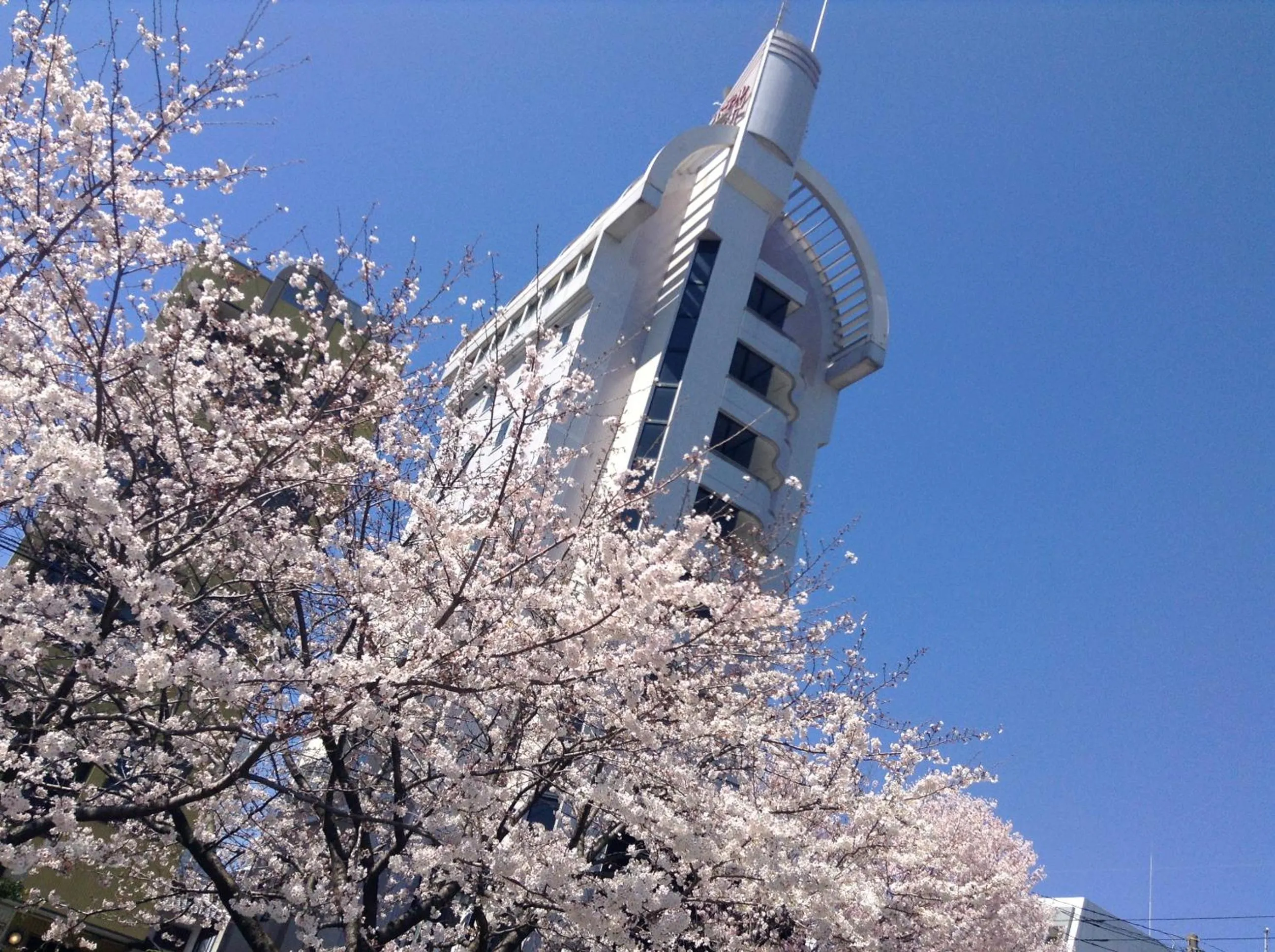 Spring in Hotel A'bant Shizuoka