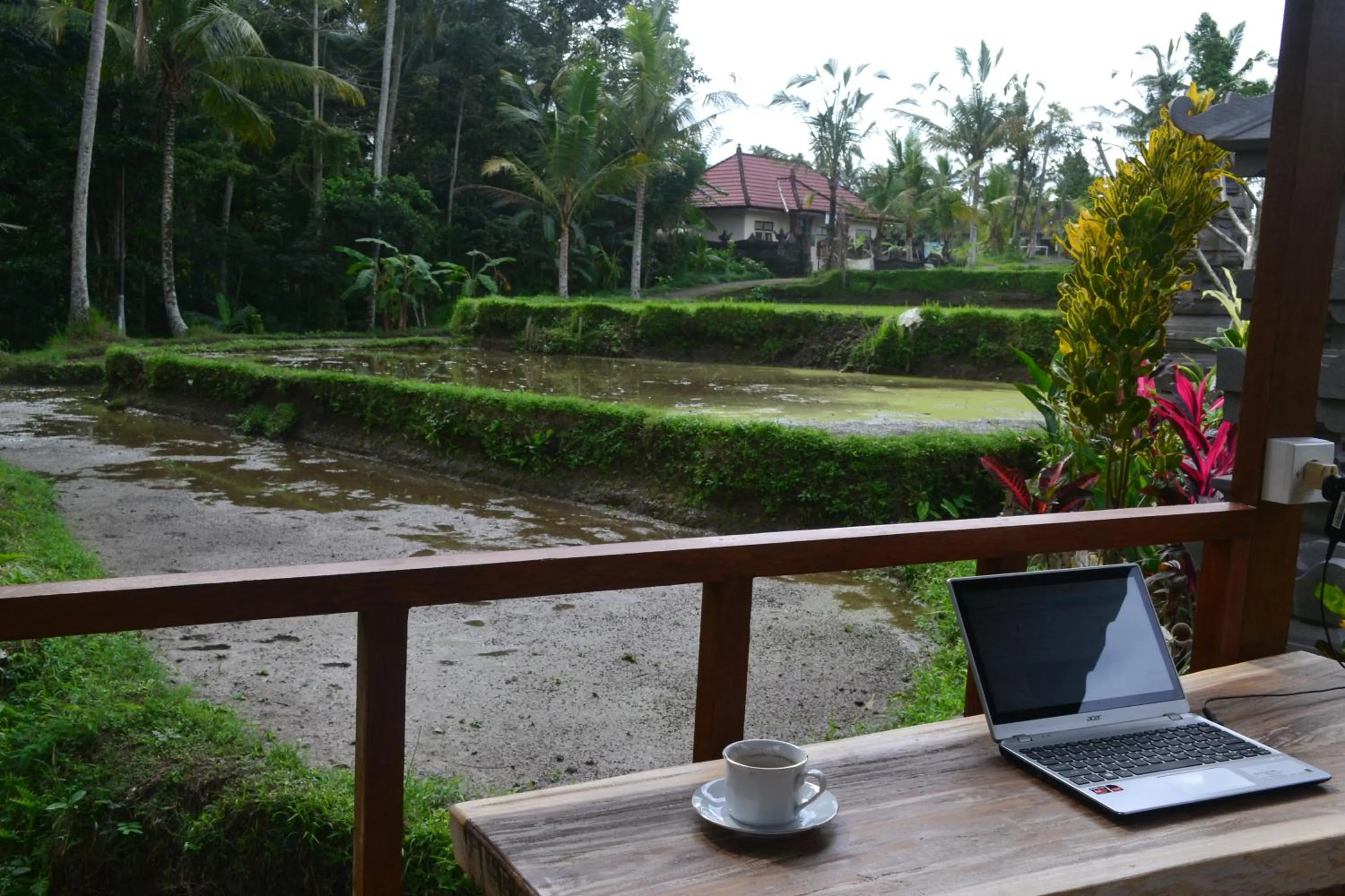 Garden view in Buda Cottage Ubud