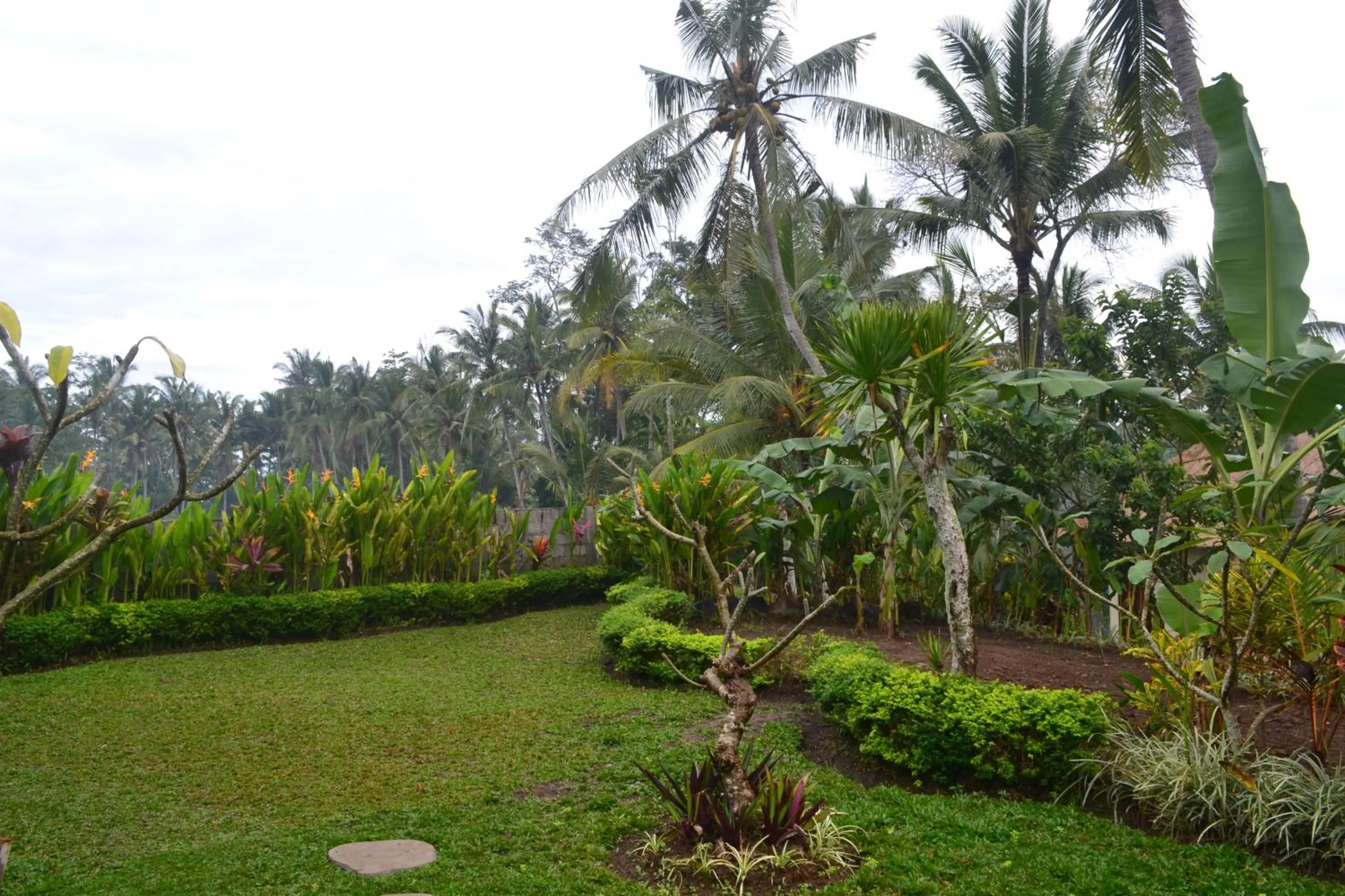 Garden view in Buda Cottage Ubud