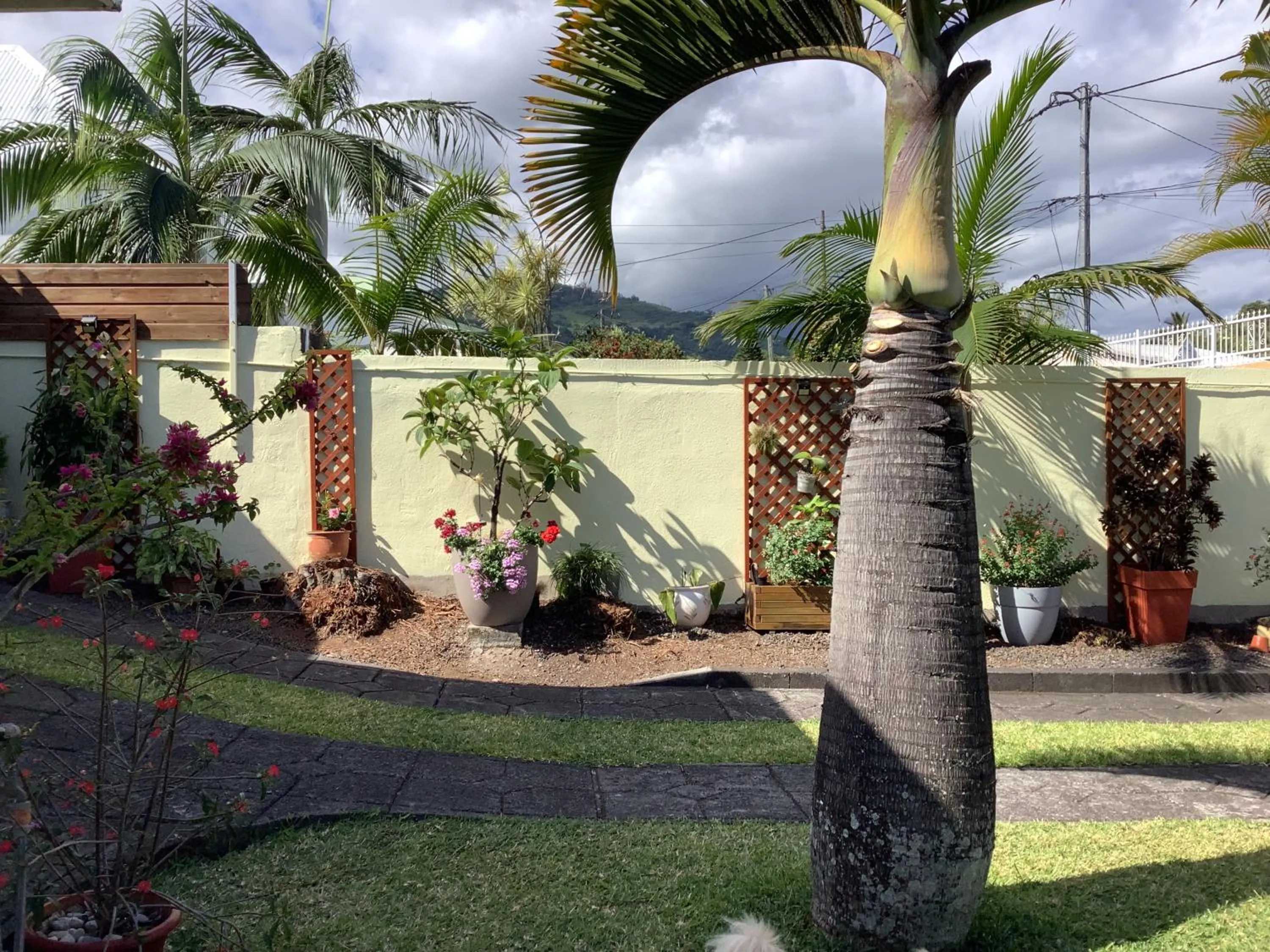 Garden view in Manapescale