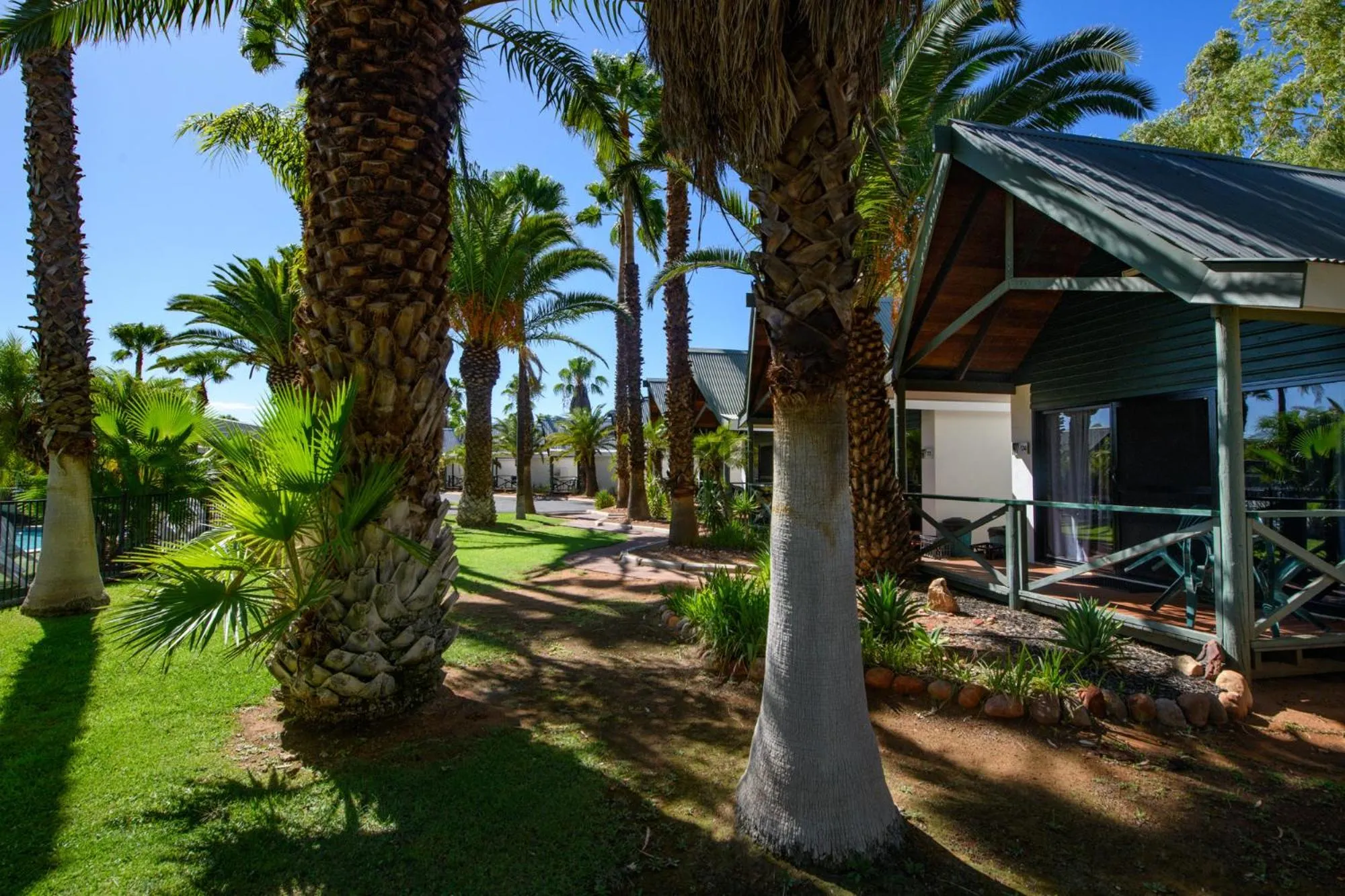 Garden in Desert Palms Alice Springs