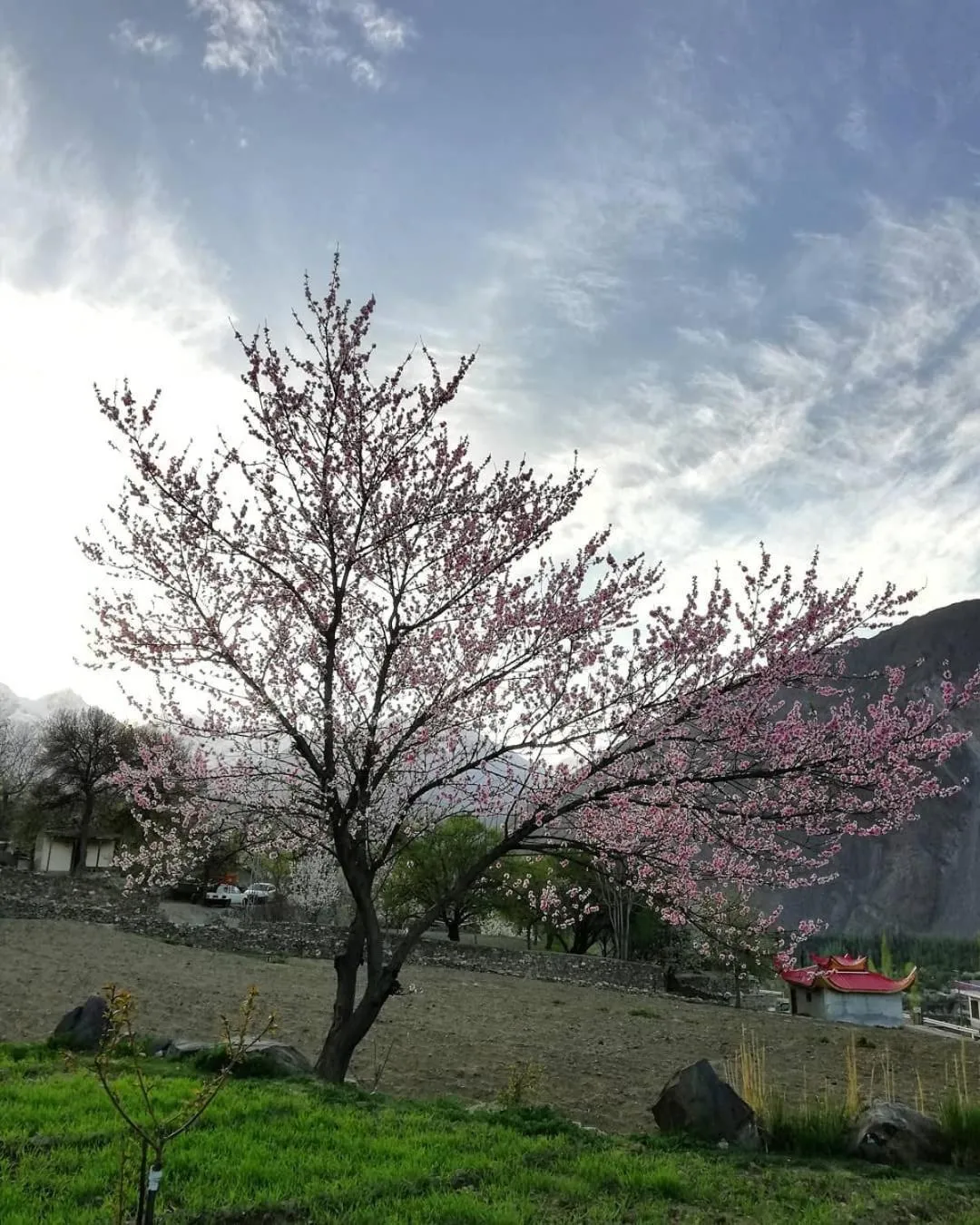 Spring in Hikal Guest House