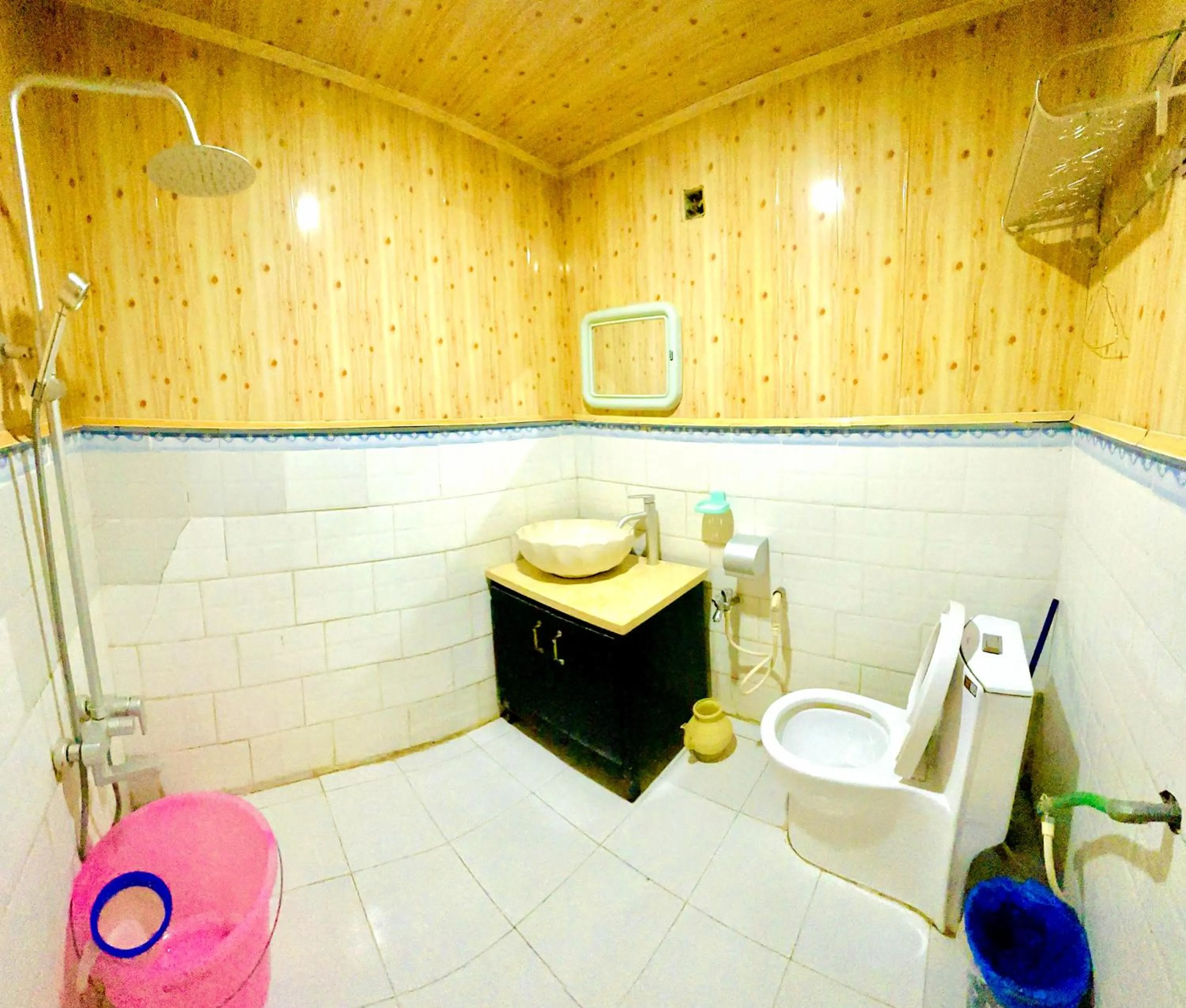 Toilet in Hikal Guest House