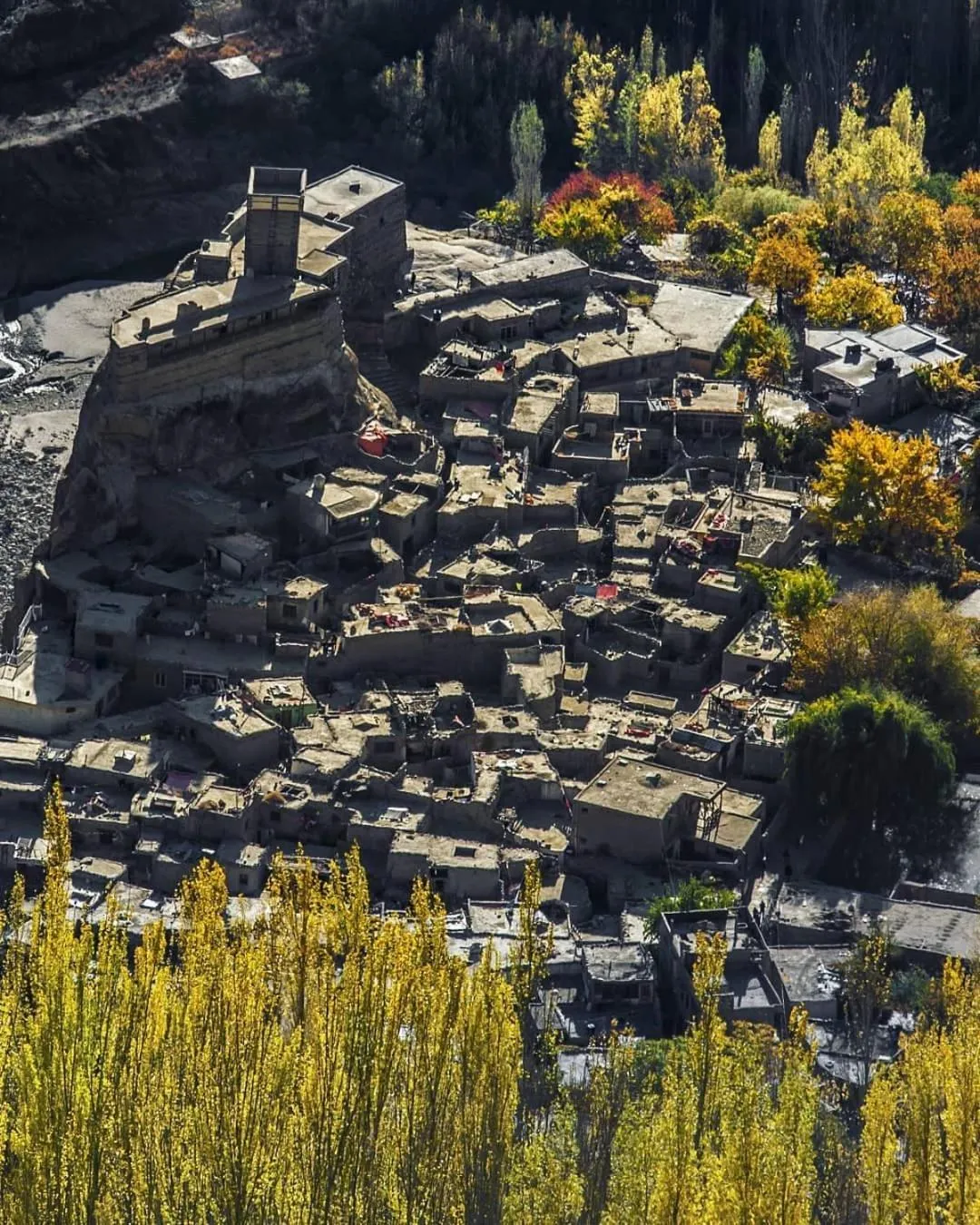 Nearby landmark in Hikal Guest House