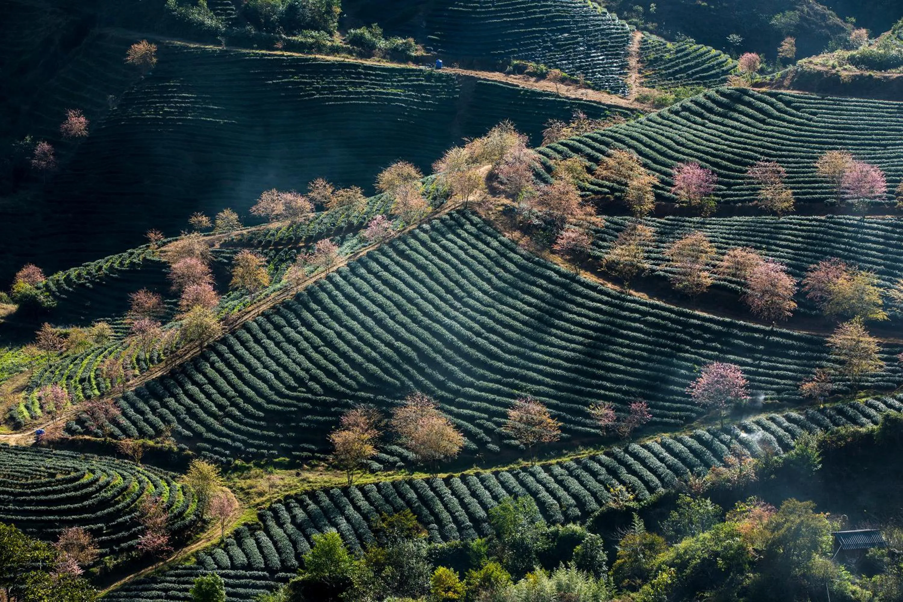 Other in Hotel de la Coupole - MGallery