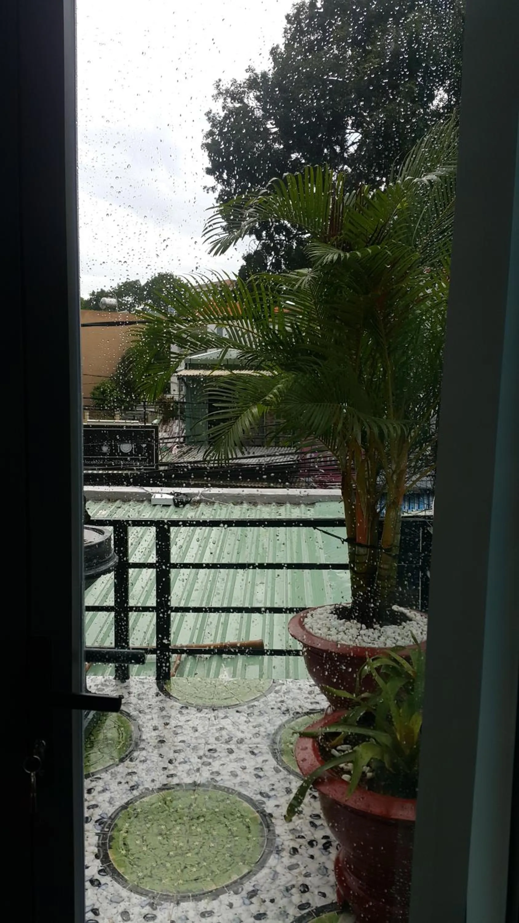 Tomorrow Hostel Vũng Tàu - Tomorrow Homestay