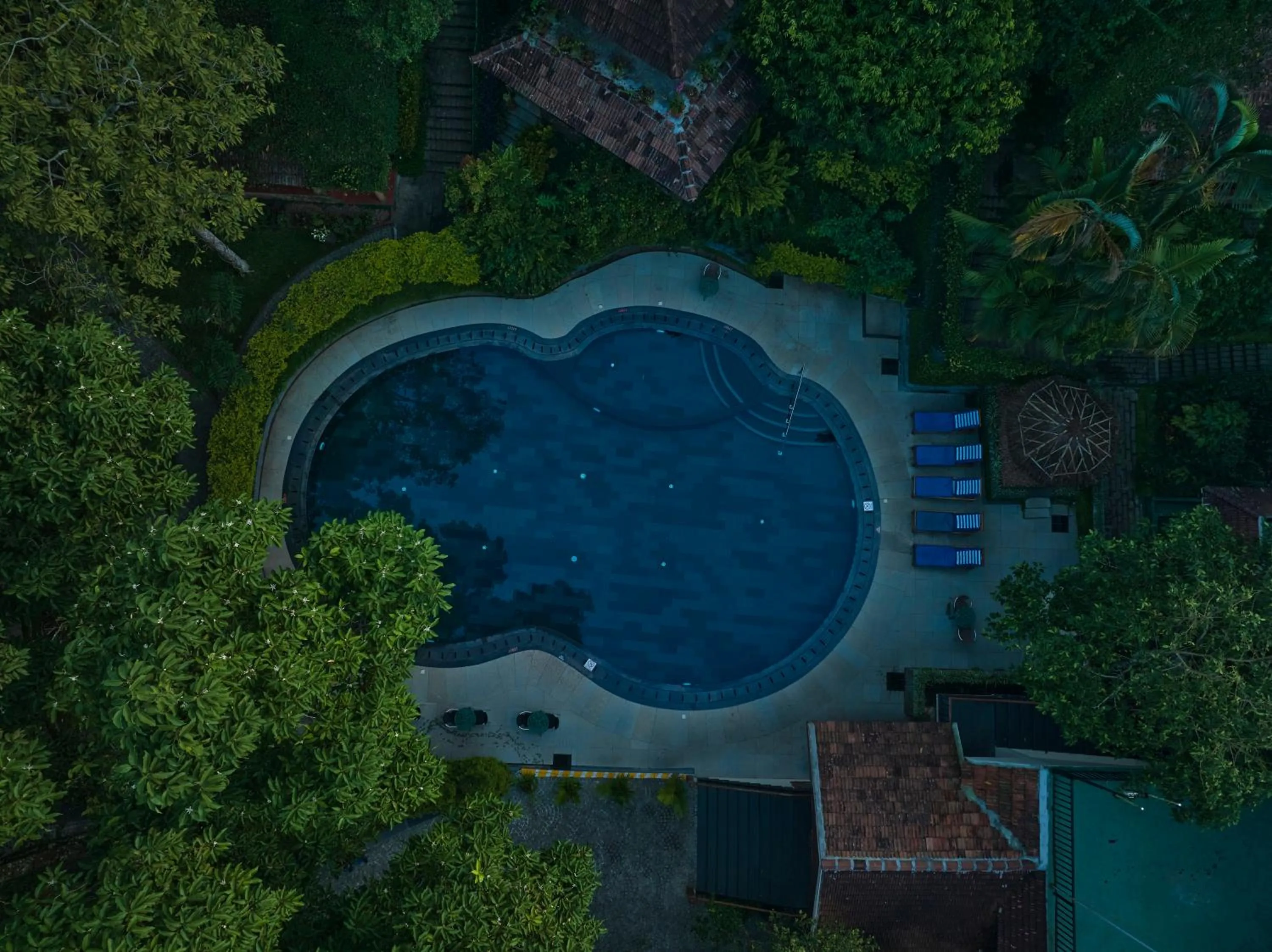 Natural landscape in Cardamom County by Xandari