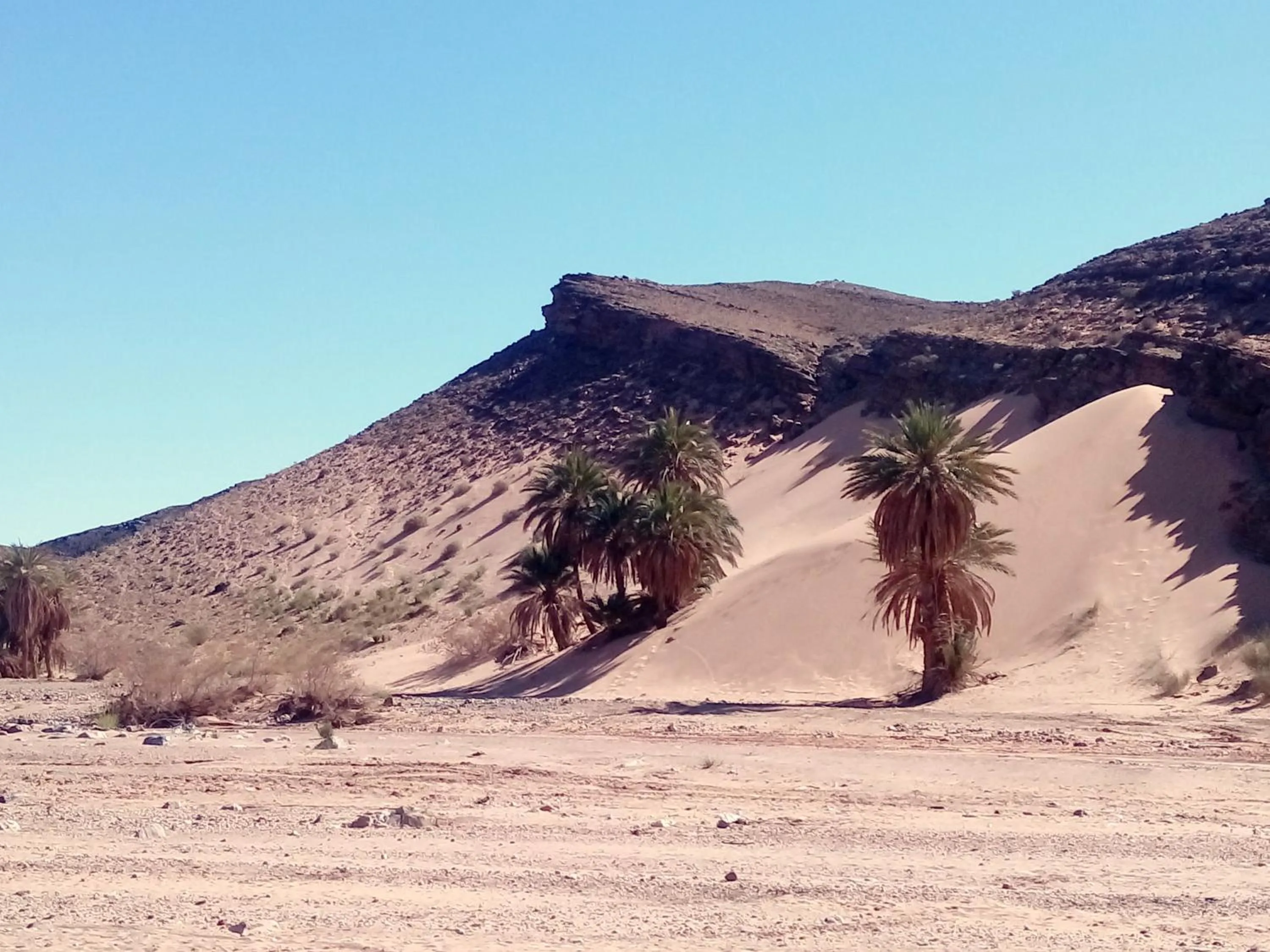 Nearby landmark in La Vallée des Dunes - Auberge, randonnées et circuits