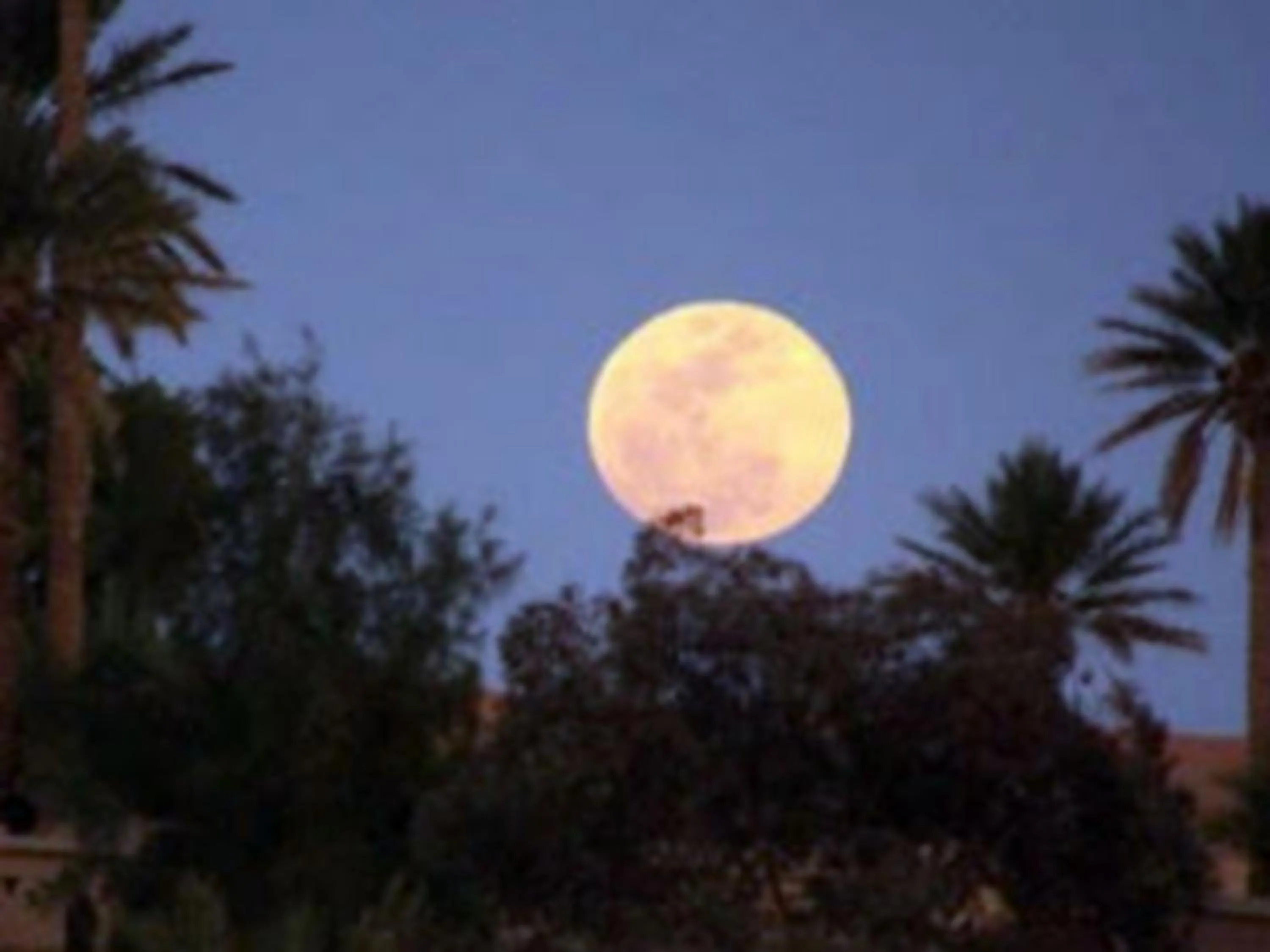 Natural landscape in La Vallée des Dunes - Auberge, randonnées et circuits