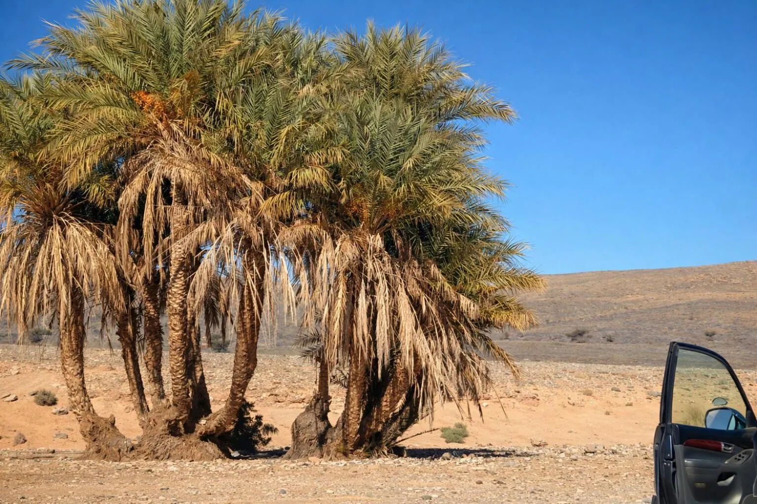 Natural landscape in La Vallée des Dunes - Auberge, randonnées et circuits