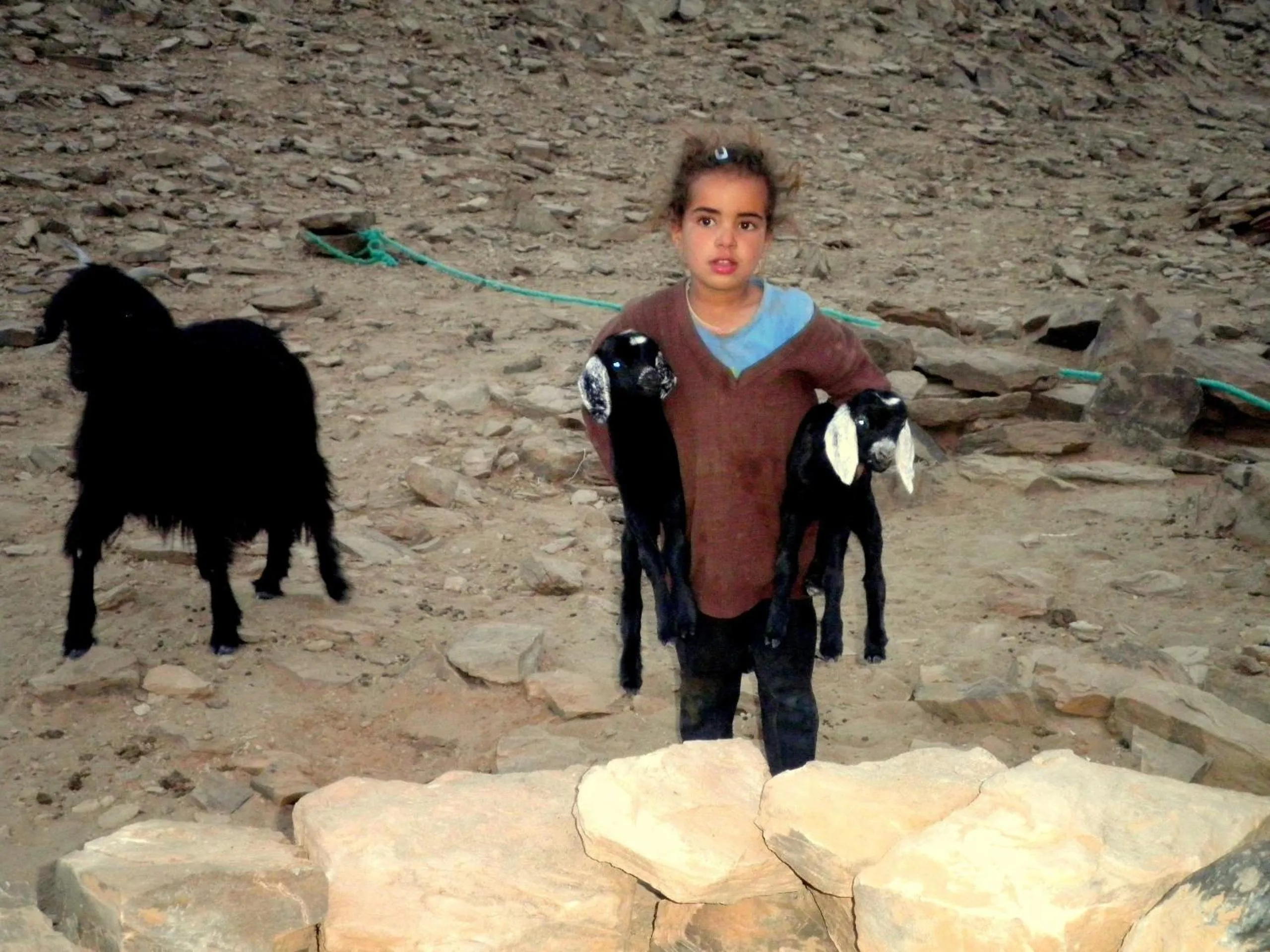 Other in La Vallée des Dunes - Auberge, randonnées et circuits