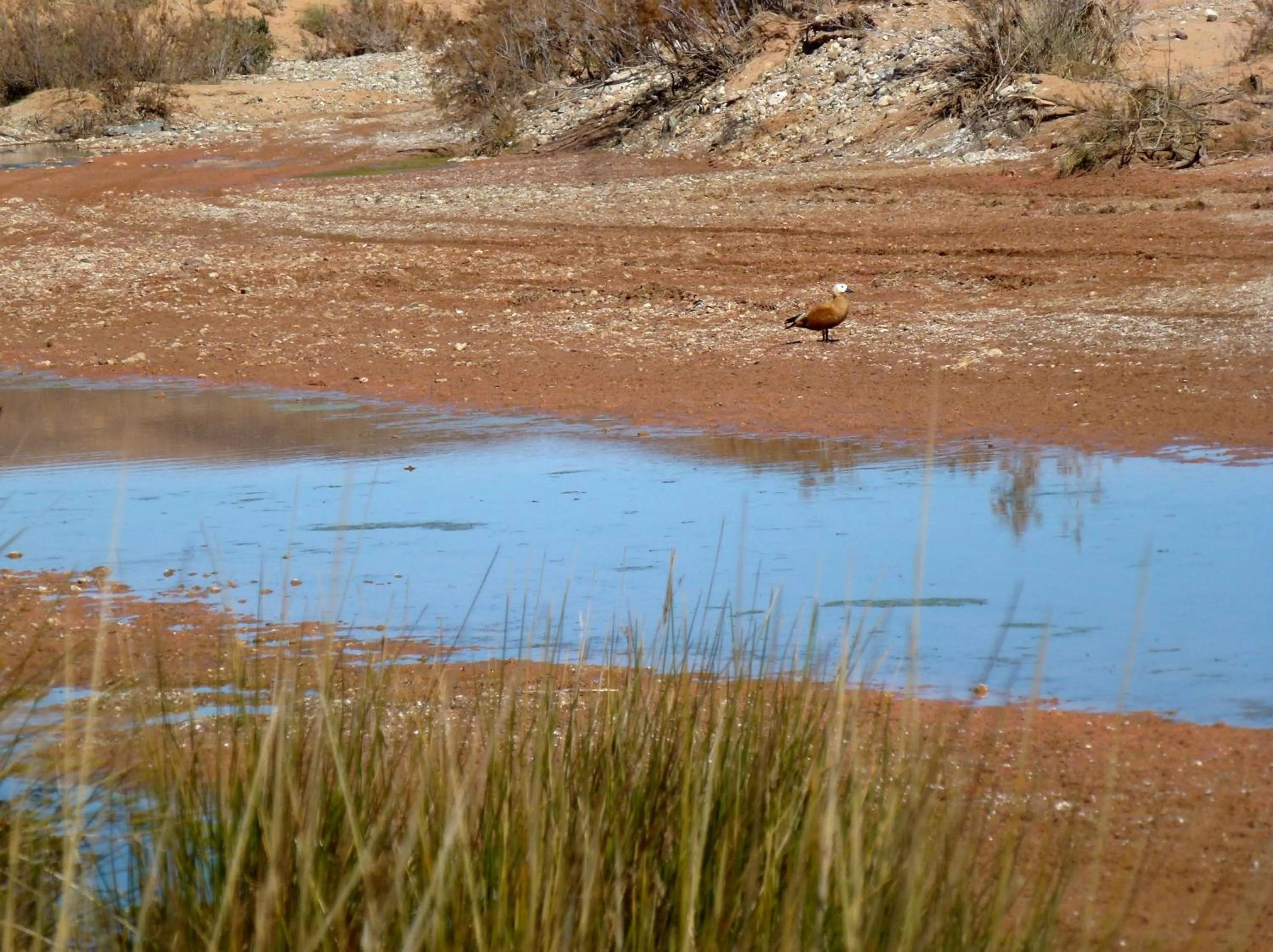 Nearby landmark in La Vallée des Dunes - Auberge, randonnées et circuits