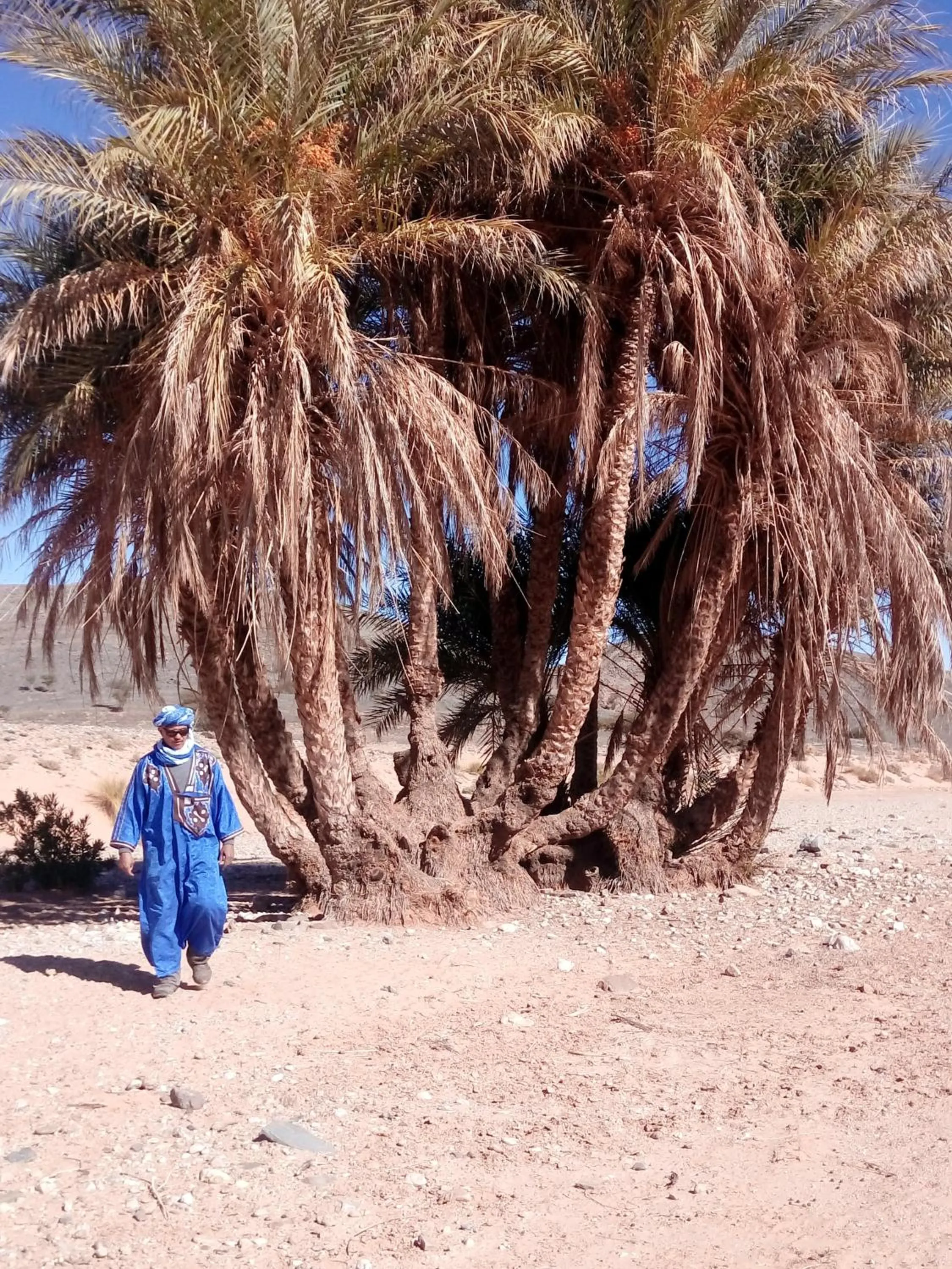 Natural landscape in La Vallée des Dunes - Auberge, randonnées et circuits