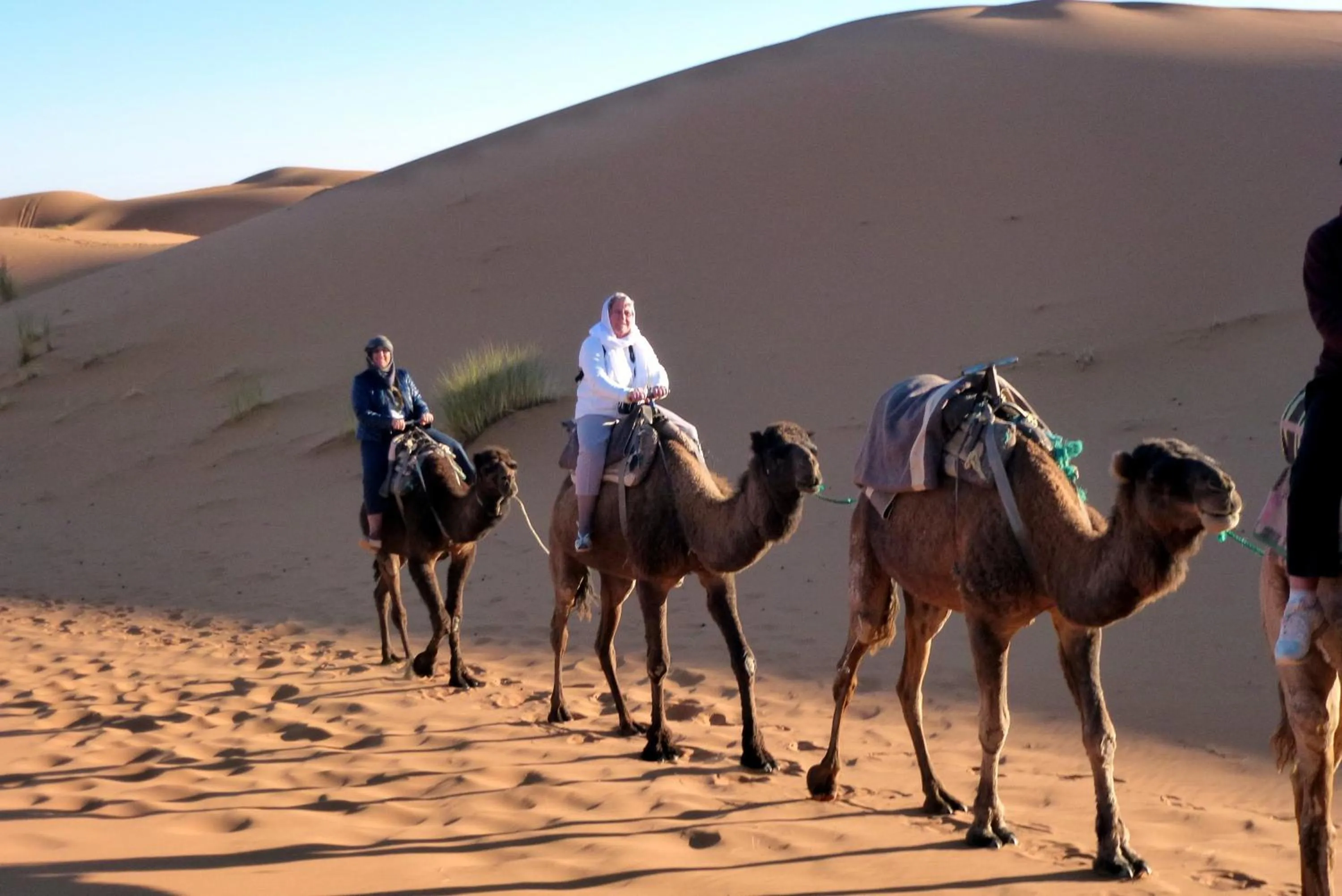 Activities in La Vallée des Dunes - Auberge, randonnées et circuits