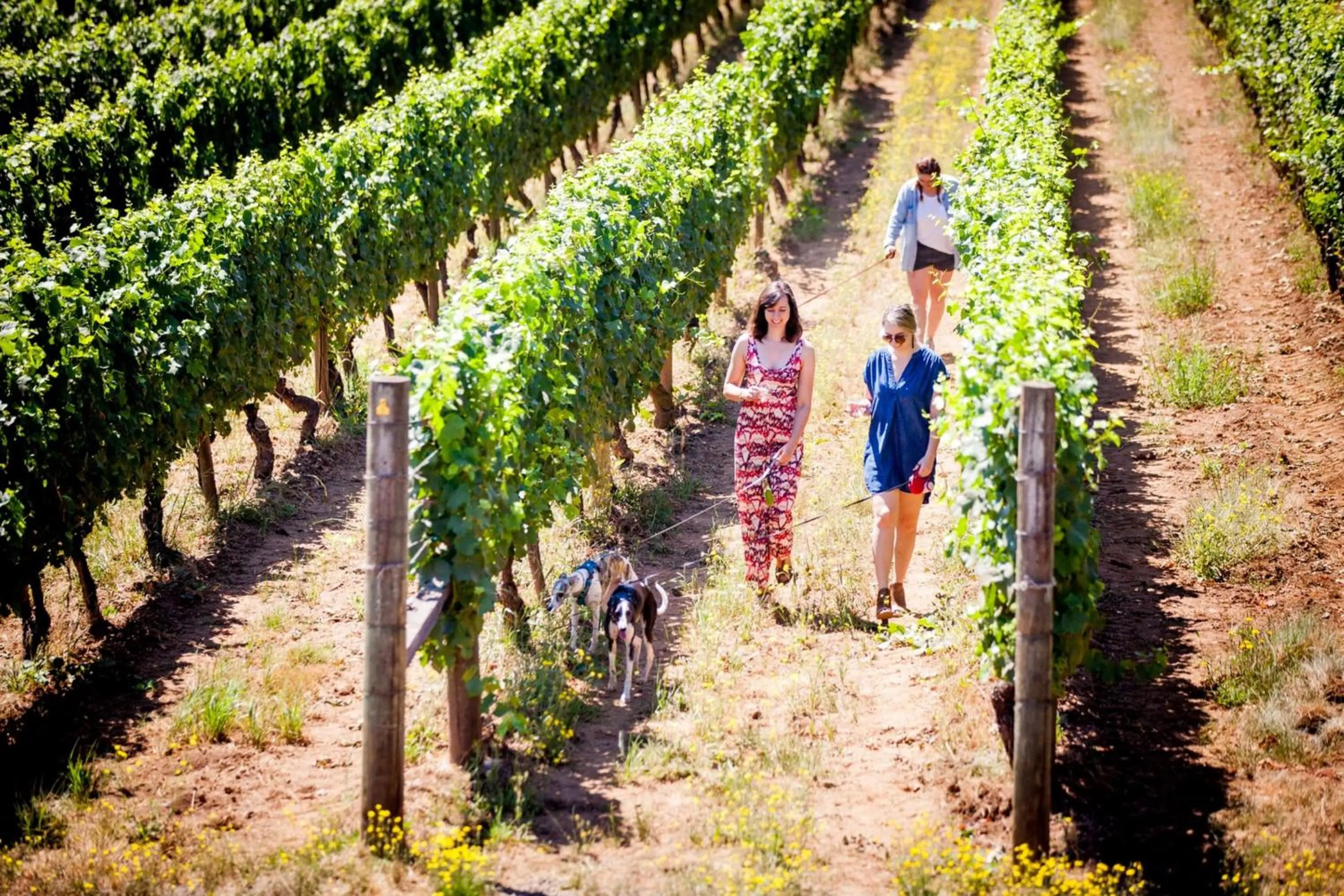 Area and facilities in Staybridge Suites - Hillsboro North by IHG