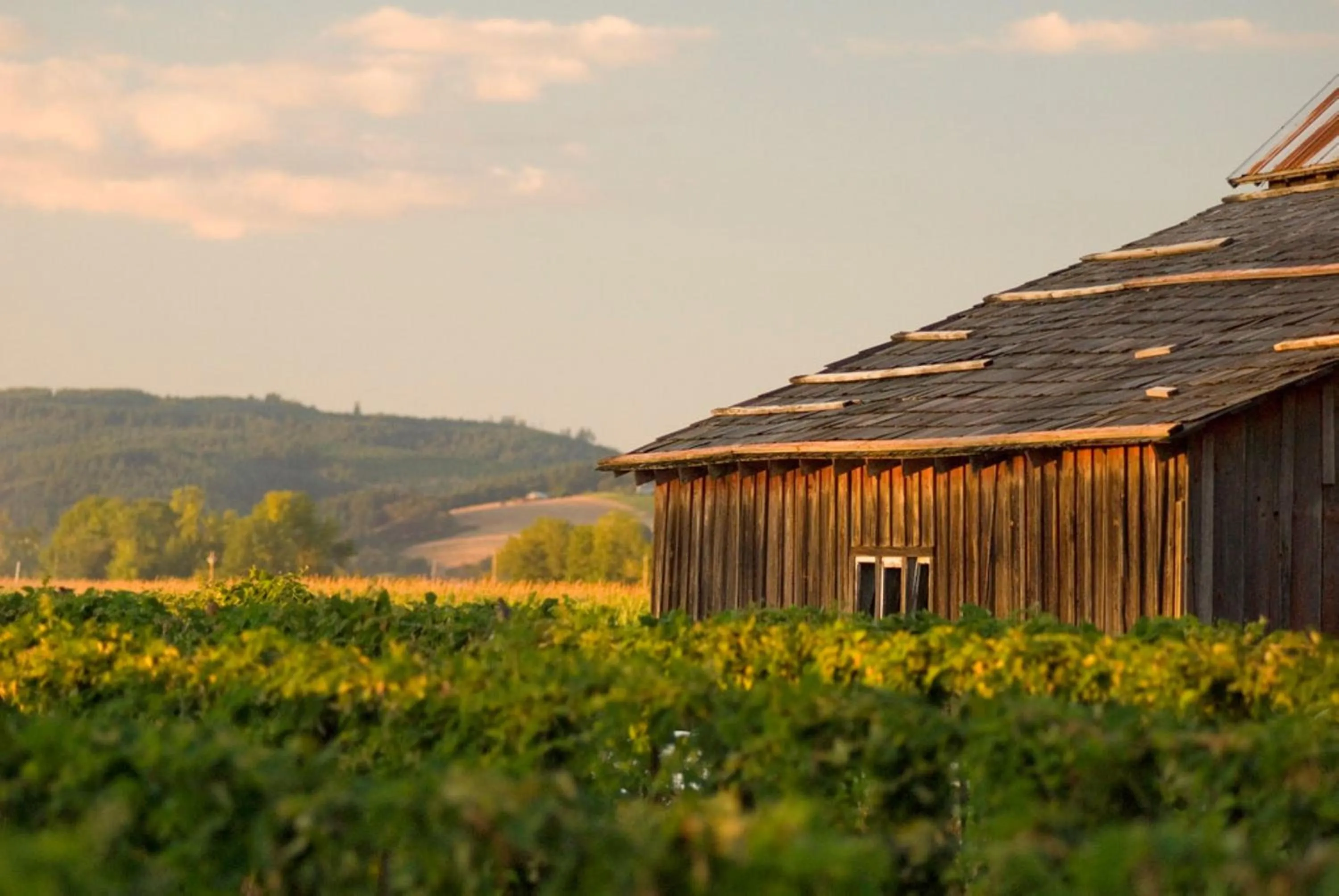 Area and facilities in Staybridge Suites - Hillsboro North by IHG