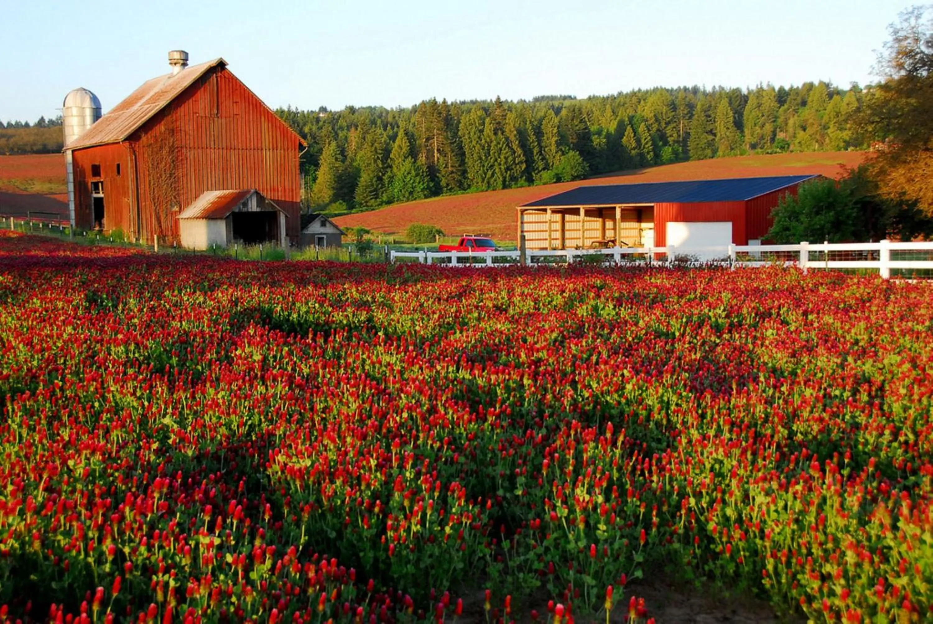 Area and facilities in Staybridge Suites - Hillsboro North by IHG