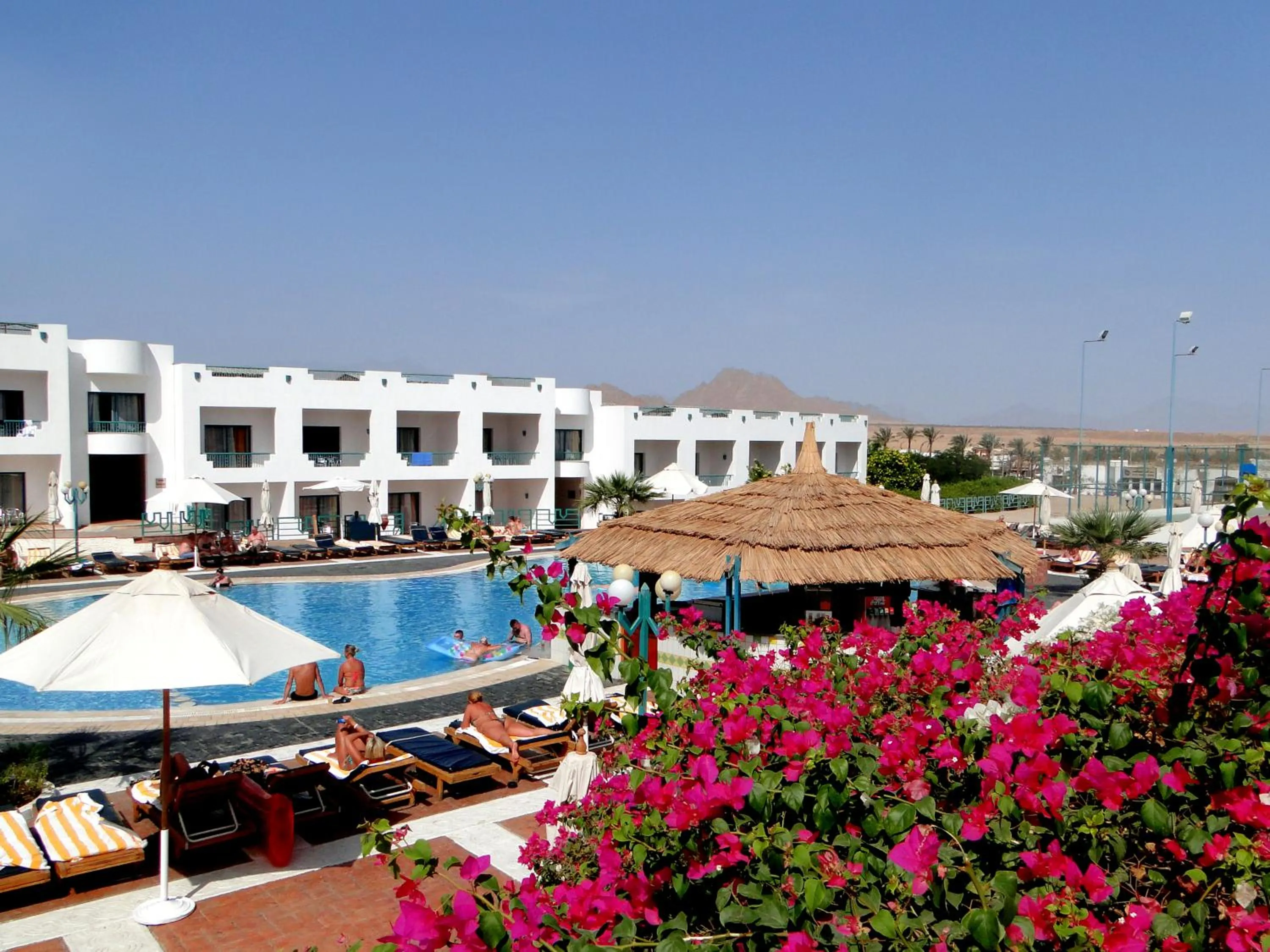 Swimming pool in Sharm Holiday Resort