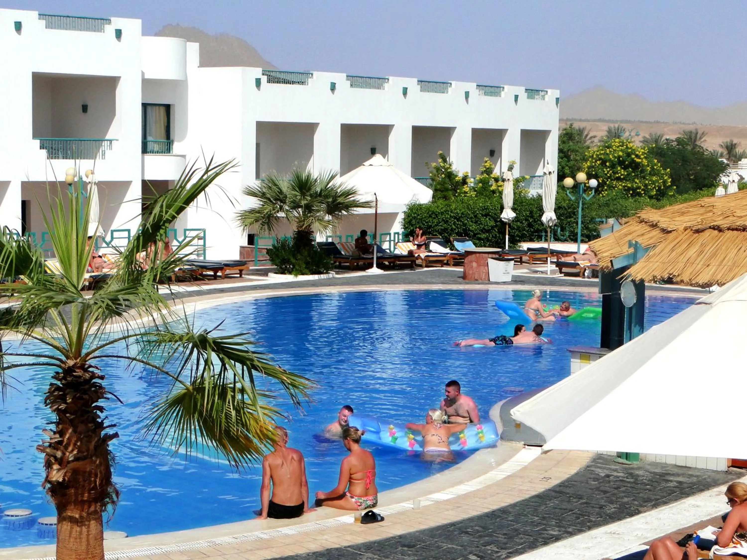 Swimming pool in Sharm Holiday Resort
