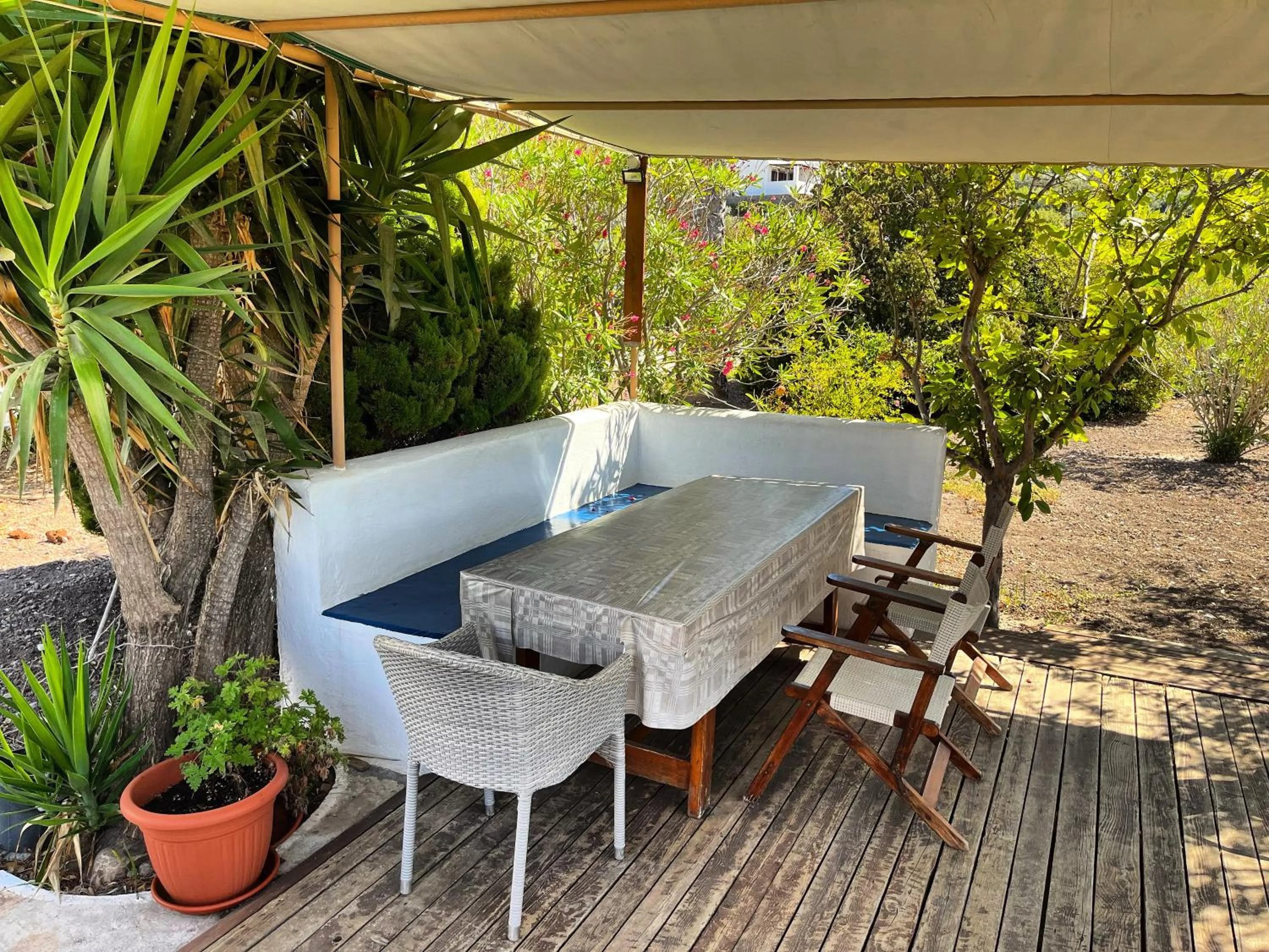 Garden in Nicolas Studios