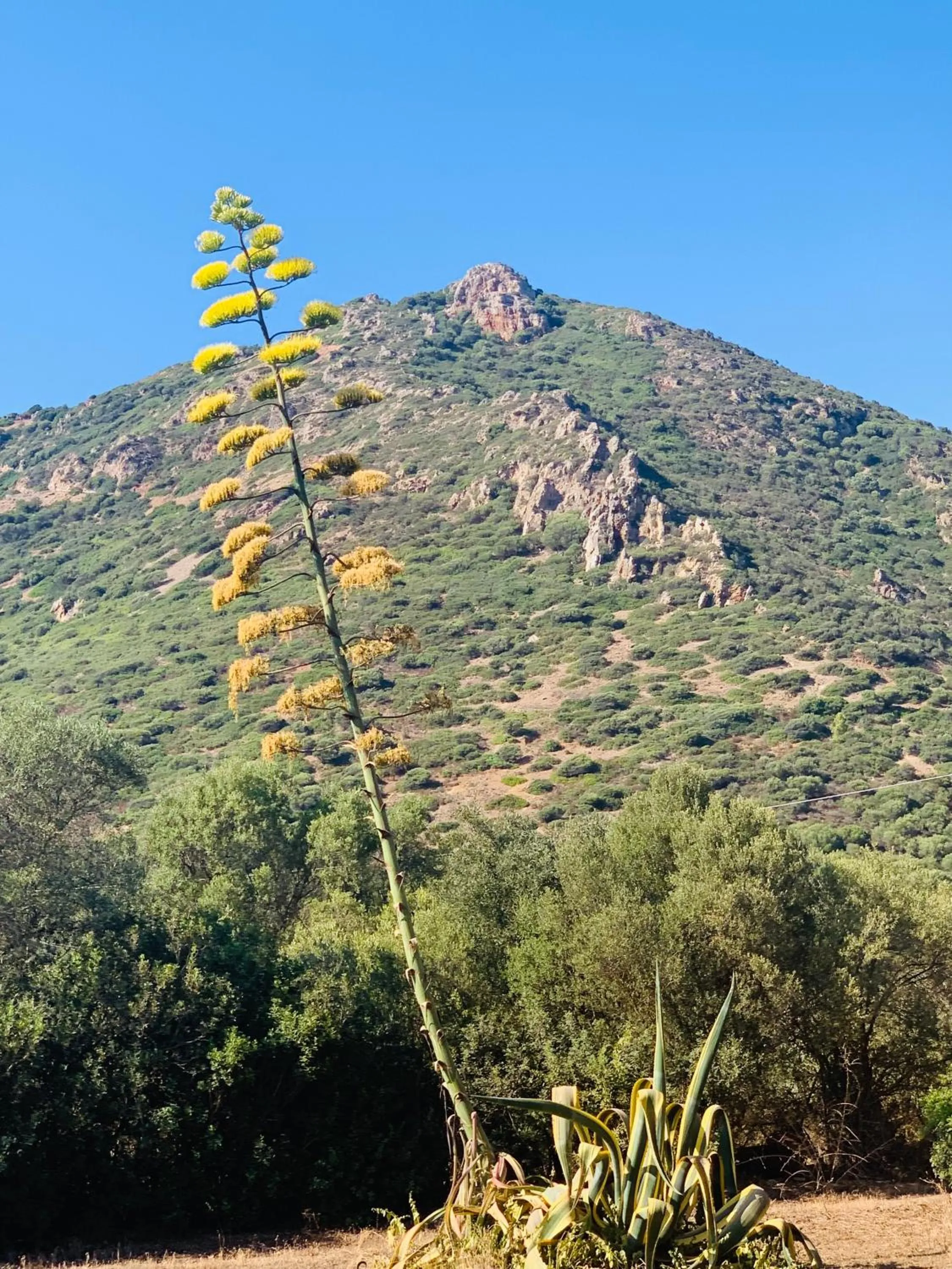 B&B La Baita Del Sud