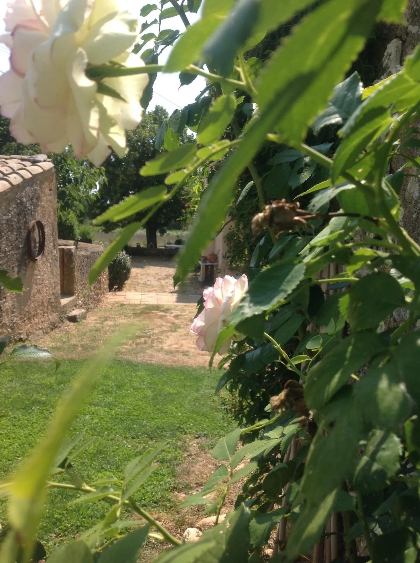 Garden view in Le Vieux Portail